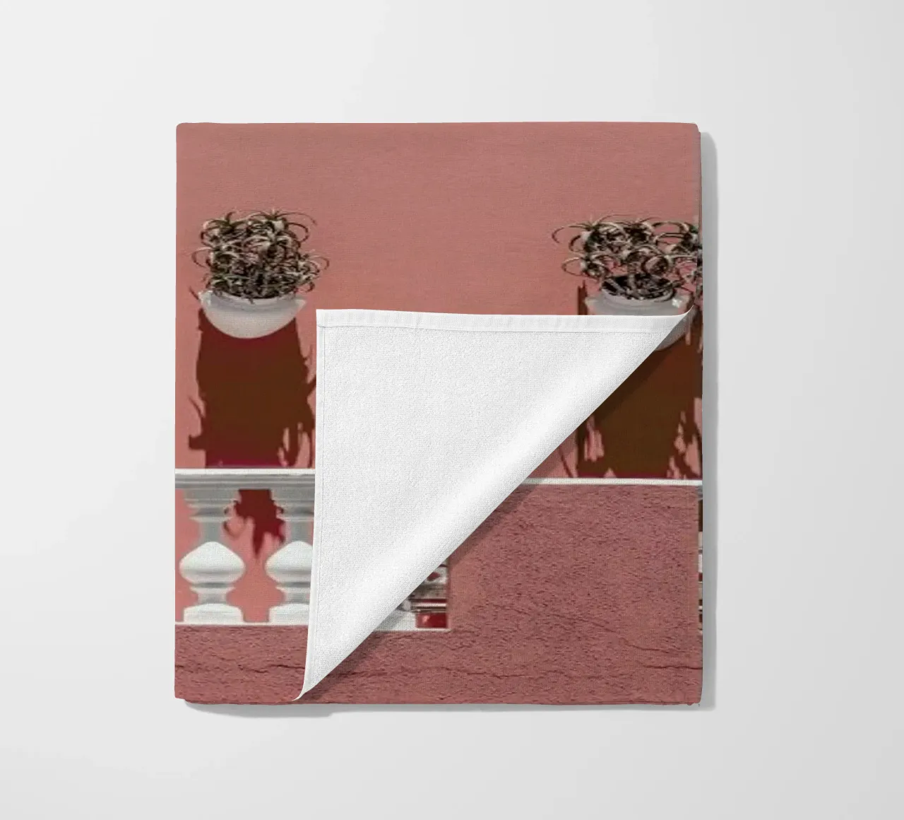 Malay Pride telo mare da Shot By Clint