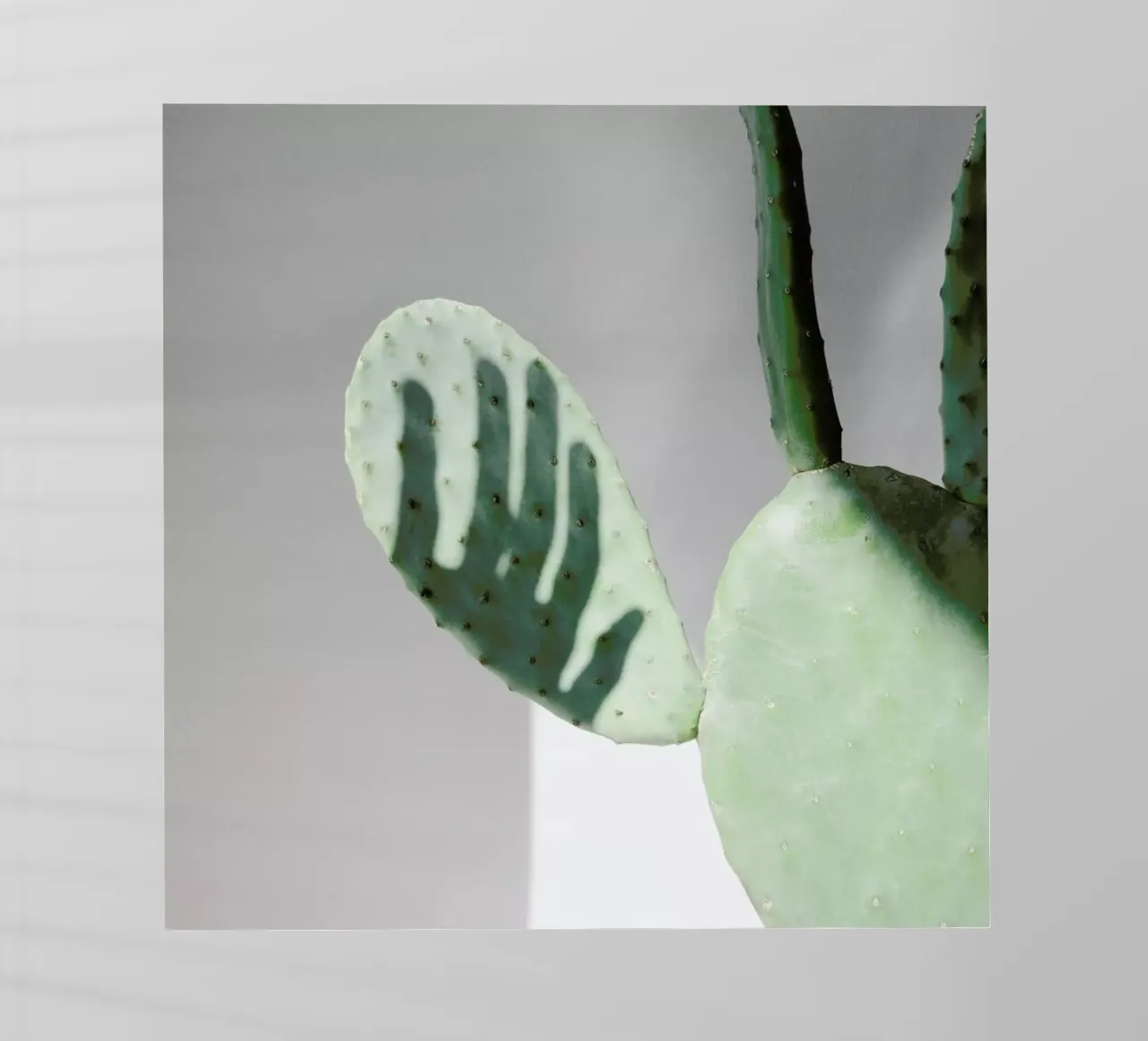 Hello Cactus pellicola backlit da George Griefy