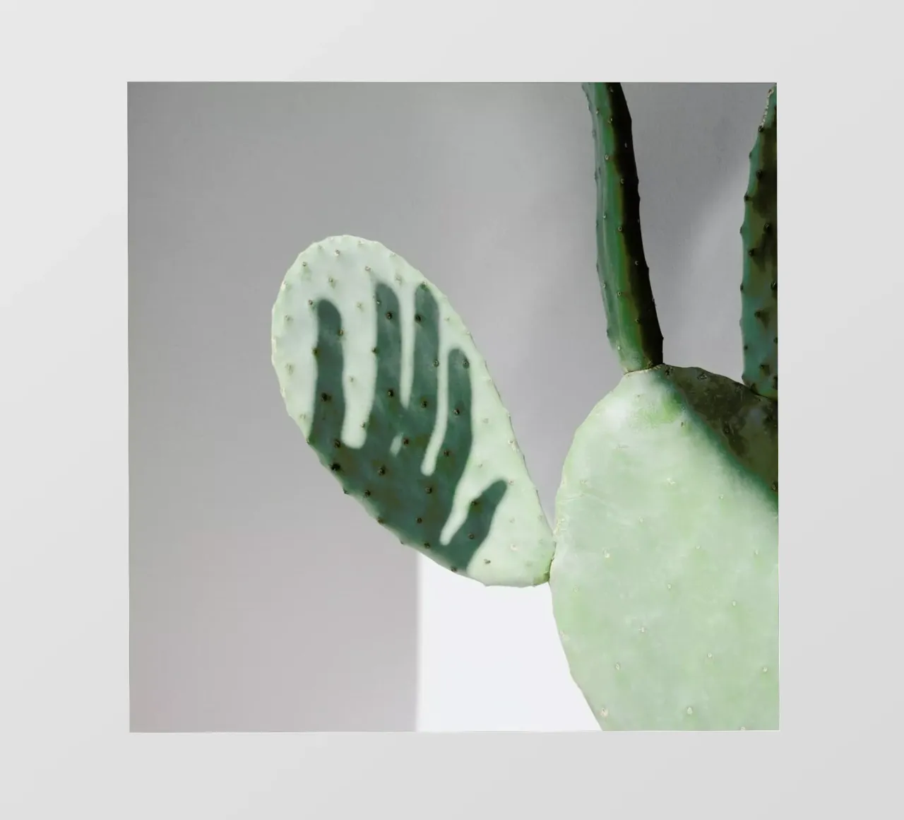 Hello Cactus telo in pvc da George Griefy