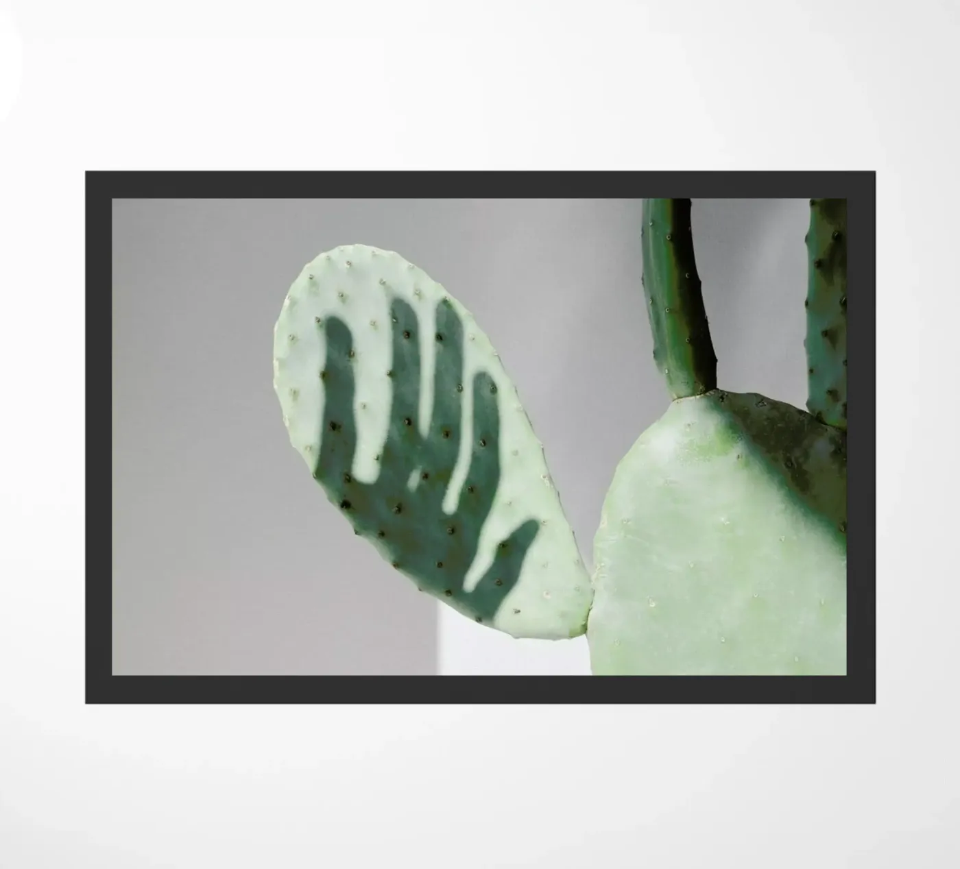 Hello Cactus doormat by George Griefy