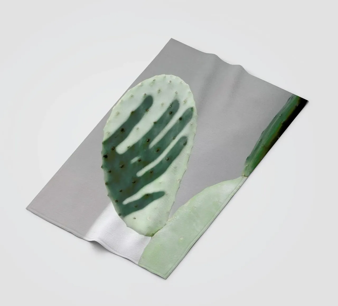 Hello Cactus Fleecedecke von George Griefy