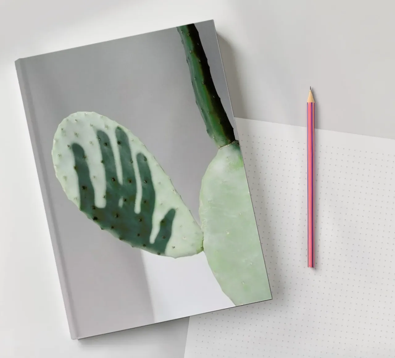 Hello Cactus notebook by George Griefy