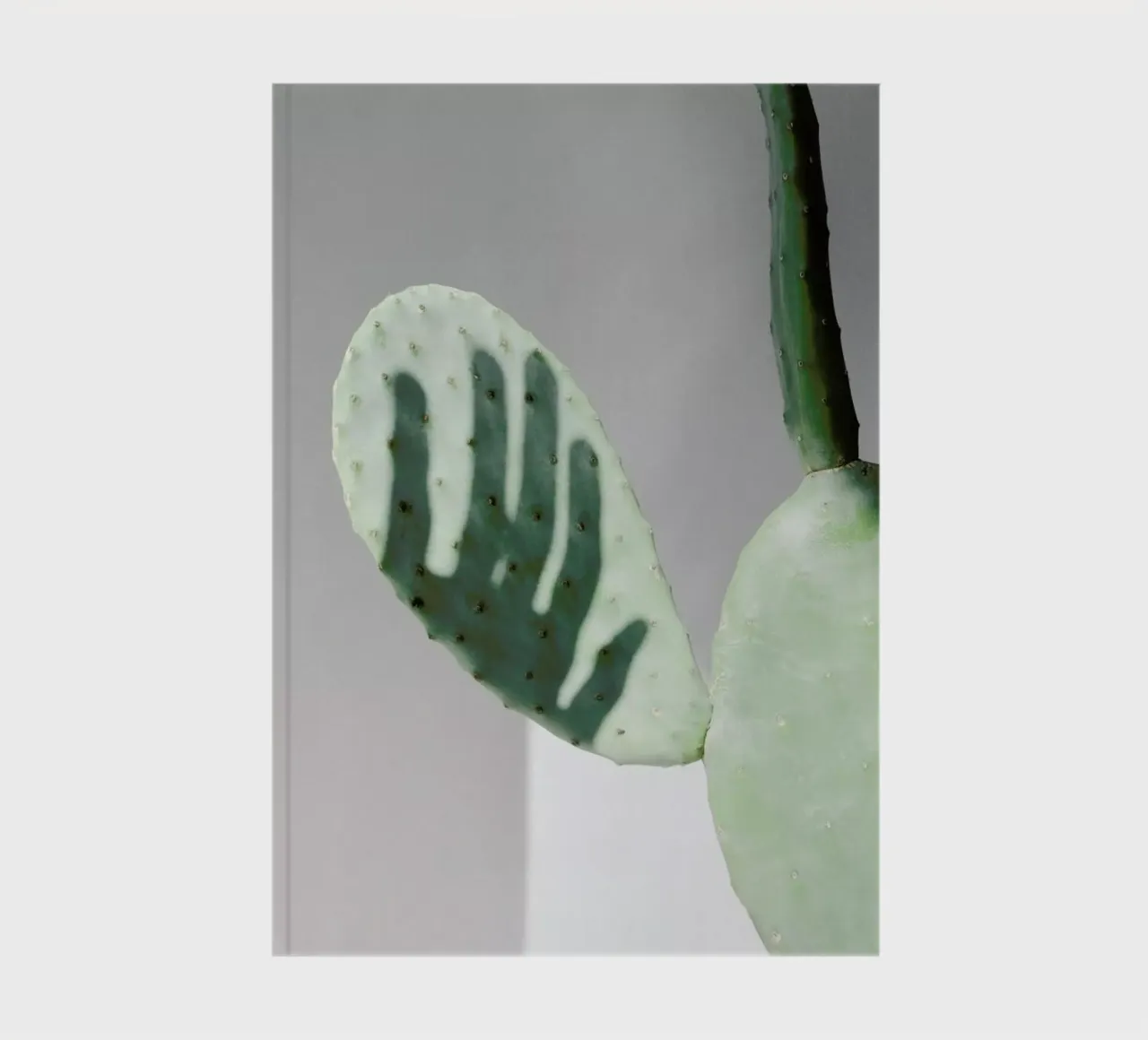 Hello Cactus notebook by George Griefy