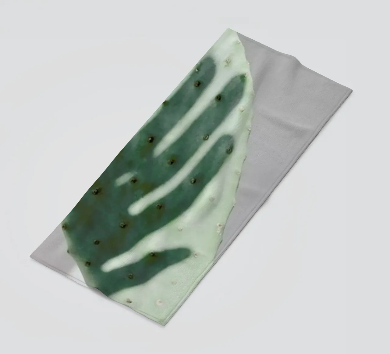 Hello Cactus telo mare da George Griefy