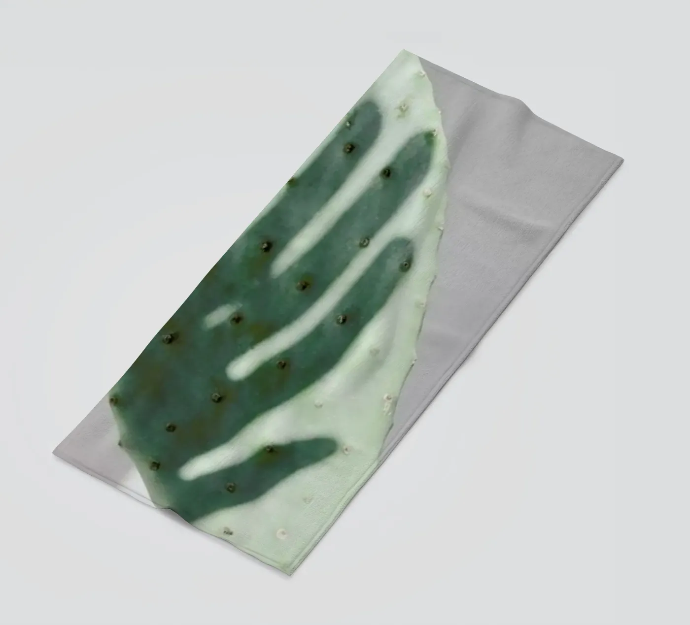 Hello Cactus telo mare da George Griefy