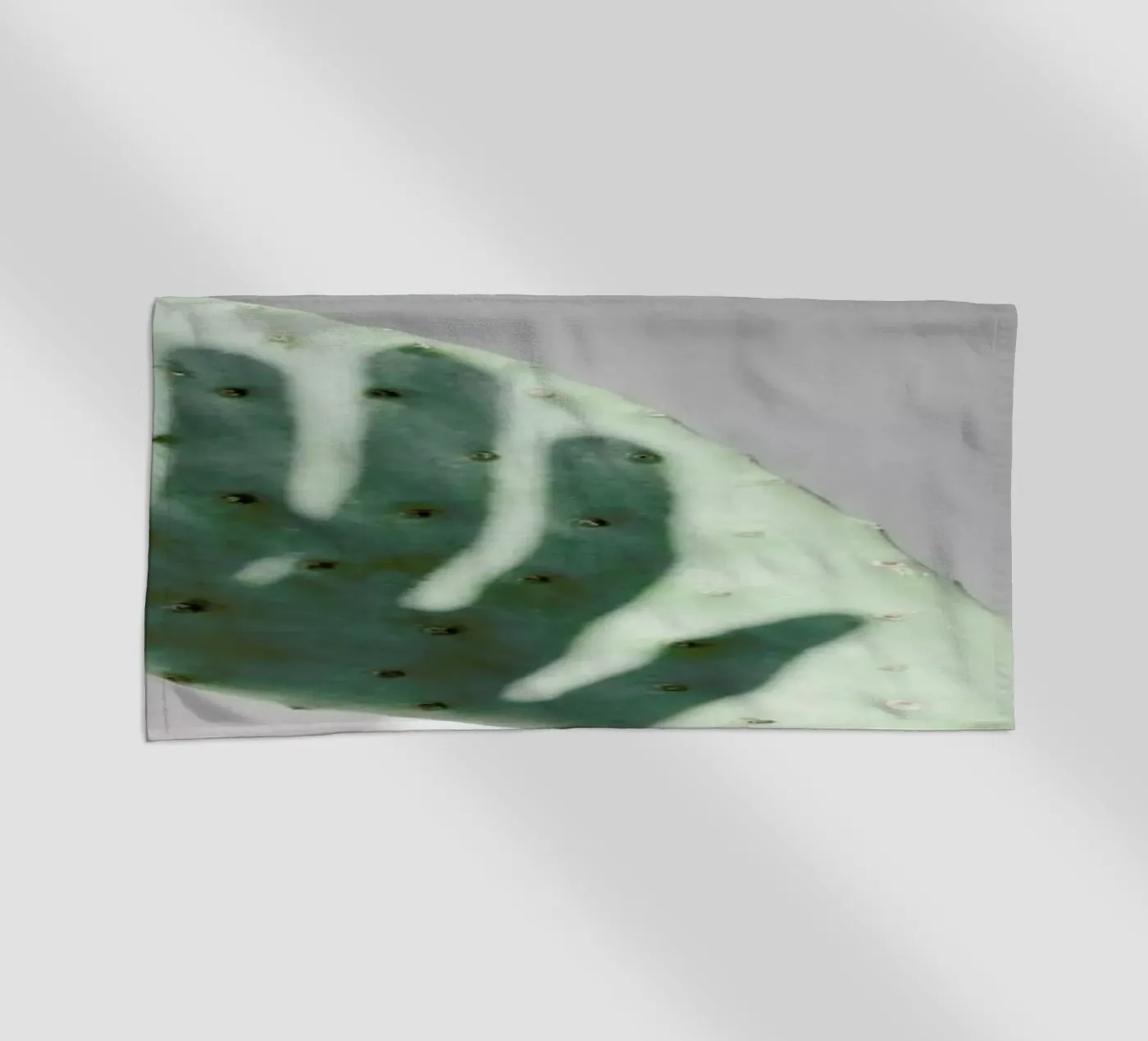 Hello Cactus telo mare da George Griefy