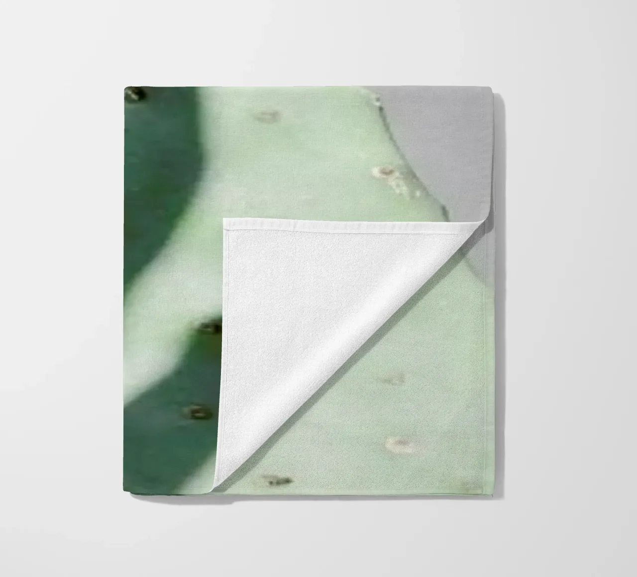 Hello Cactus telo mare da George Griefy