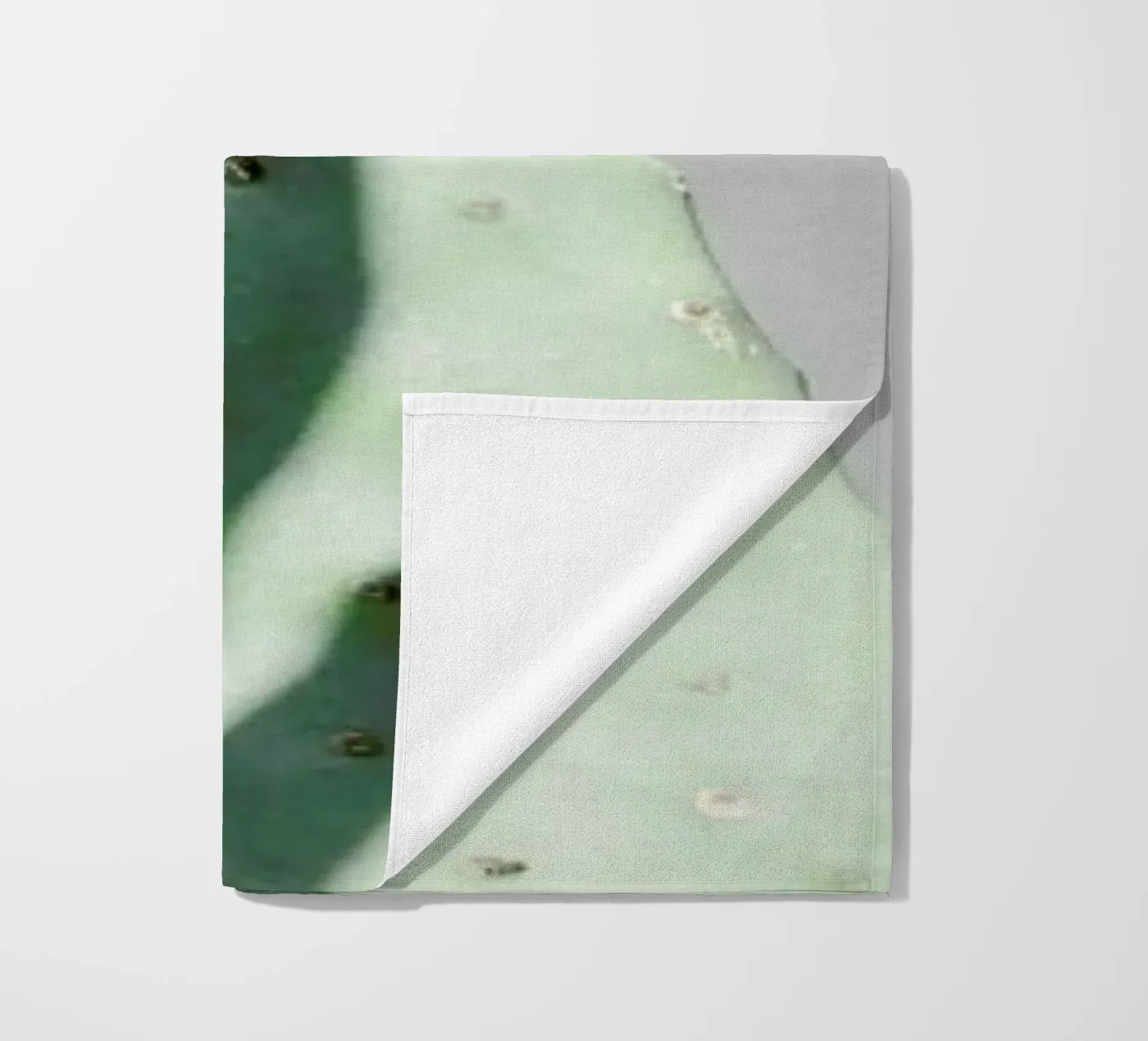 Hello Cactus telo mare da George Griefy