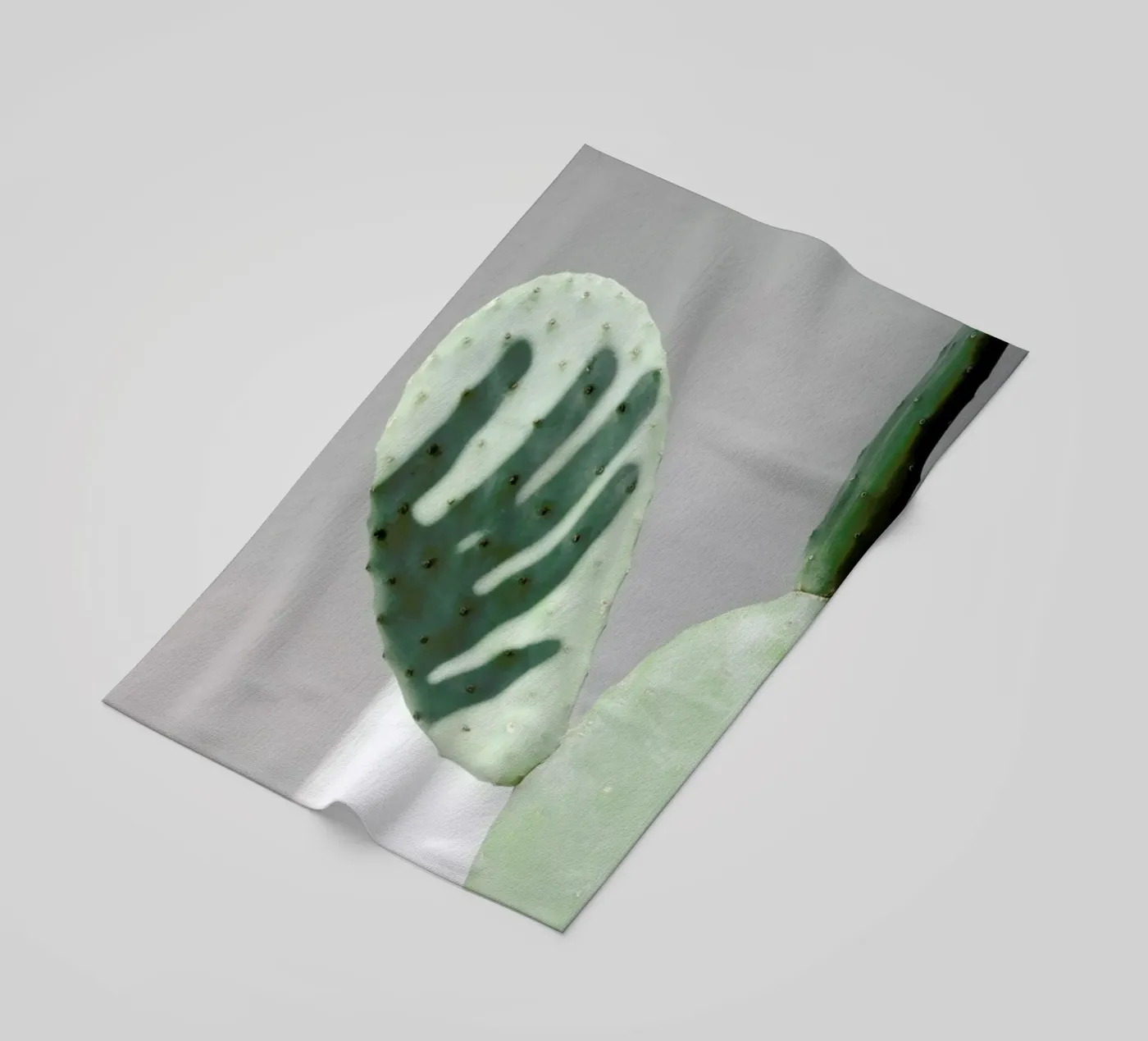 Hello Cactus telo mare da George Griefy