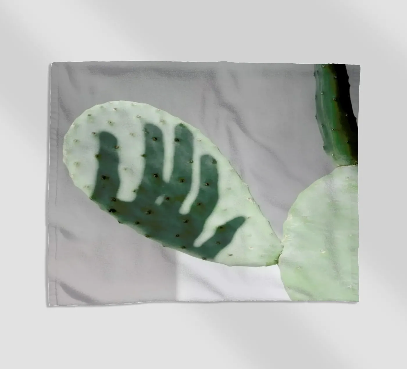 Hello Cactus telo mare da George Griefy