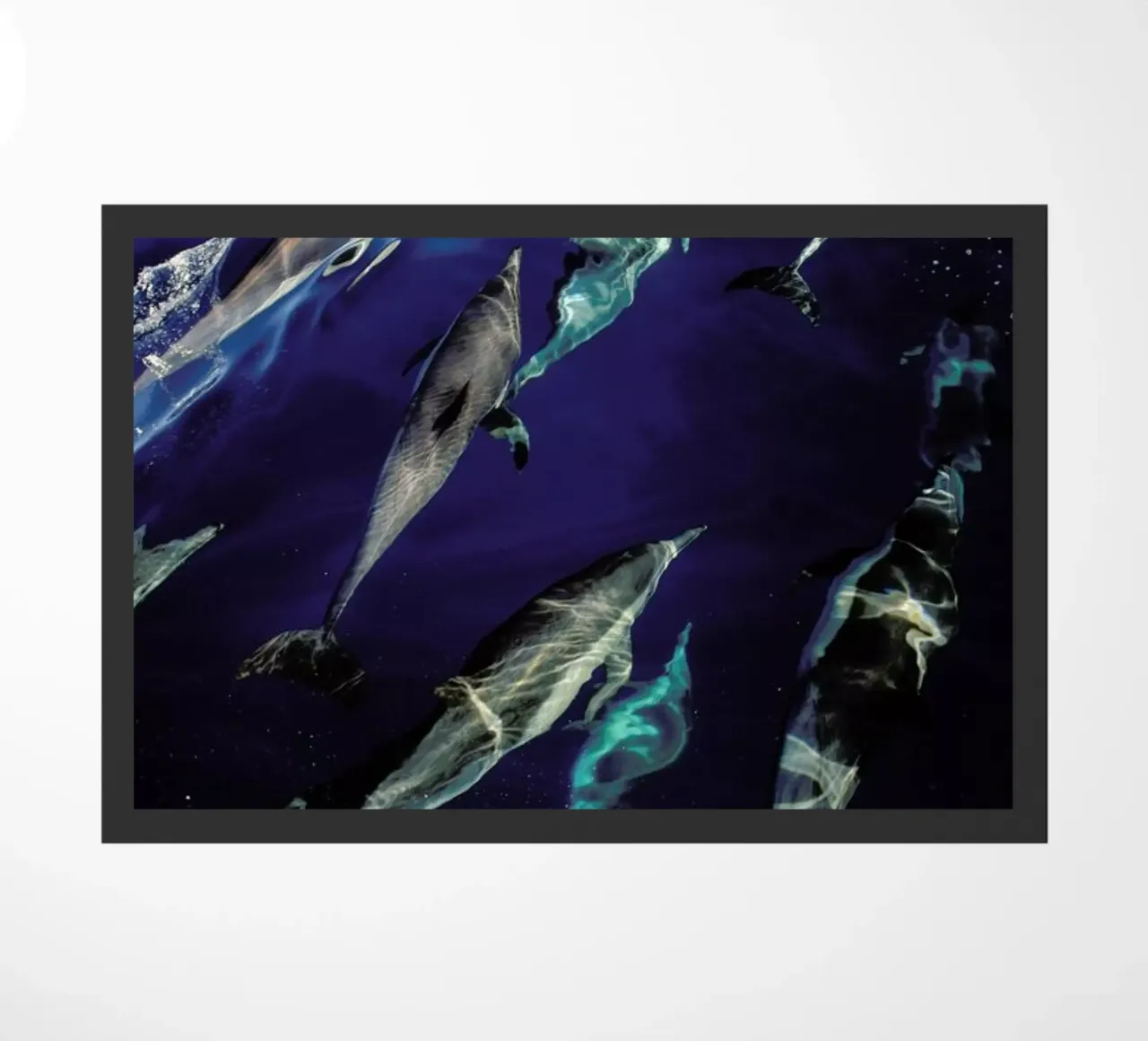 The Pod zerbino da EyeEm Mobile GmbH