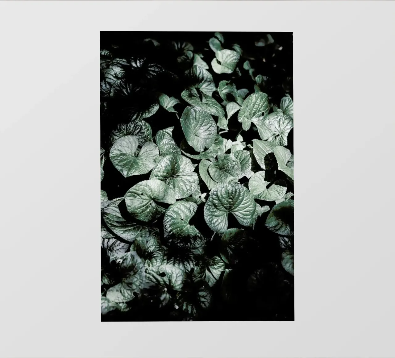 Forest Floor telo in pvc da Shot By Clint