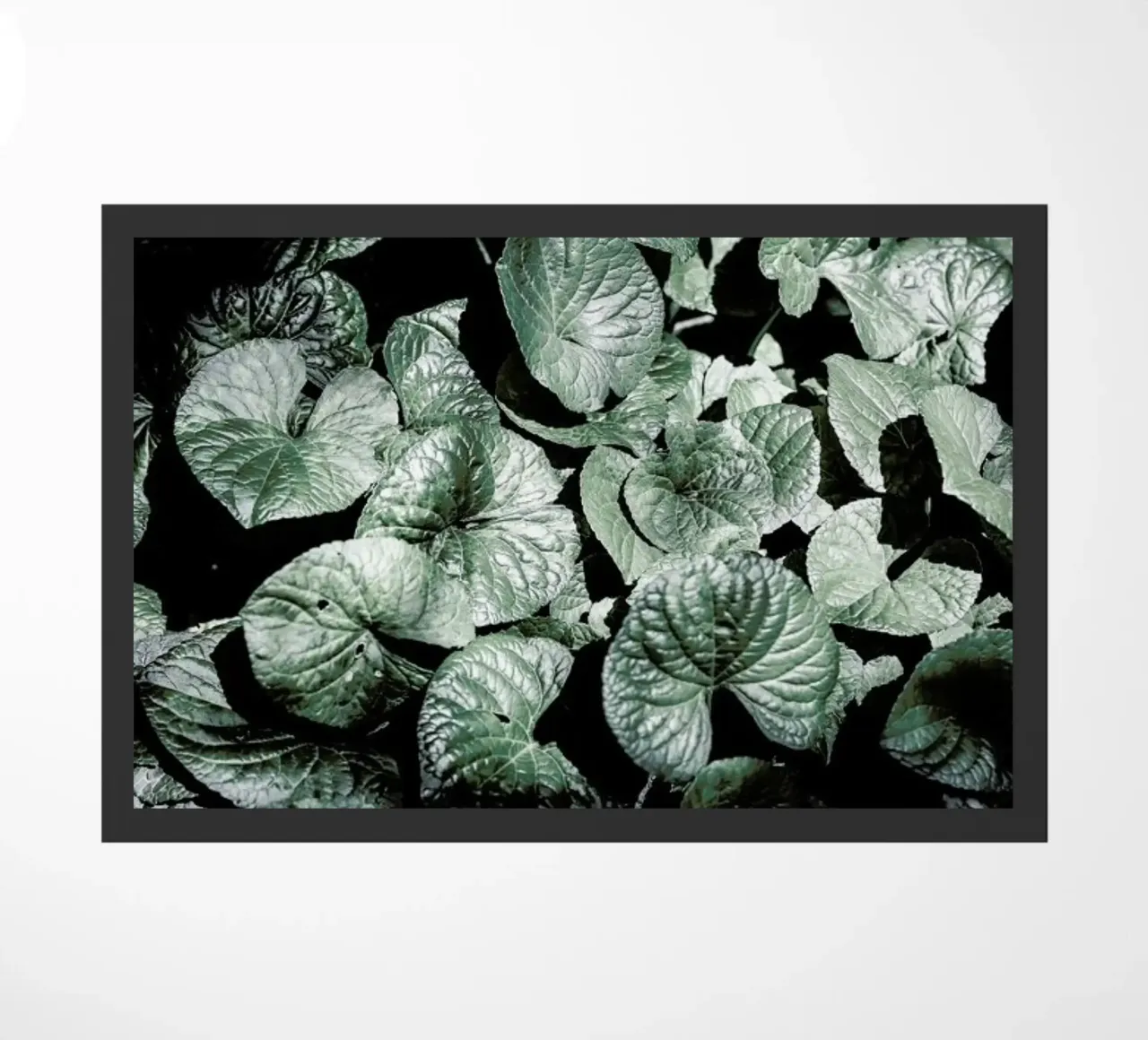 Forest Floor zerbino da Shot By Clint