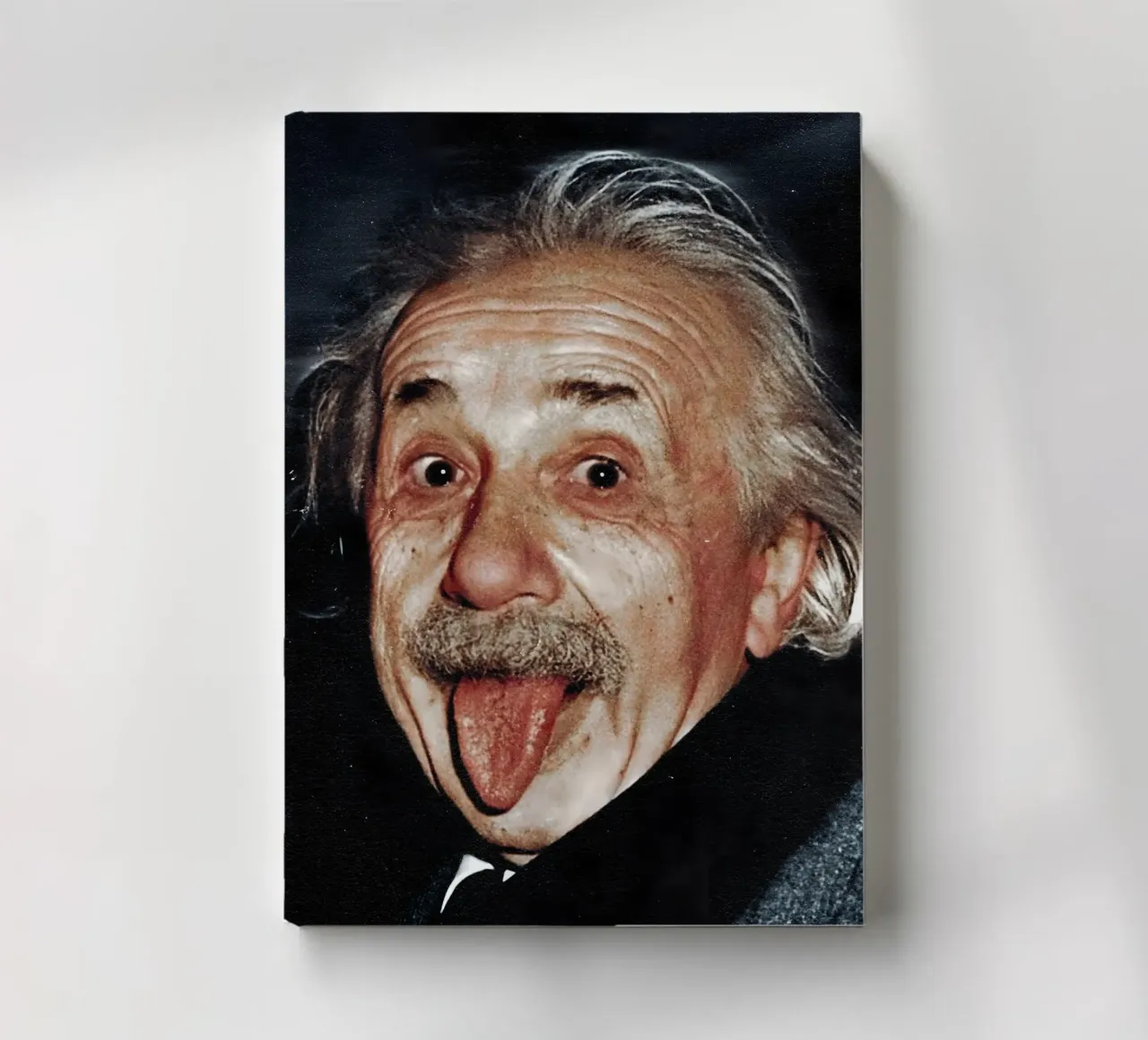 Albert Einstein diario da Low poly art