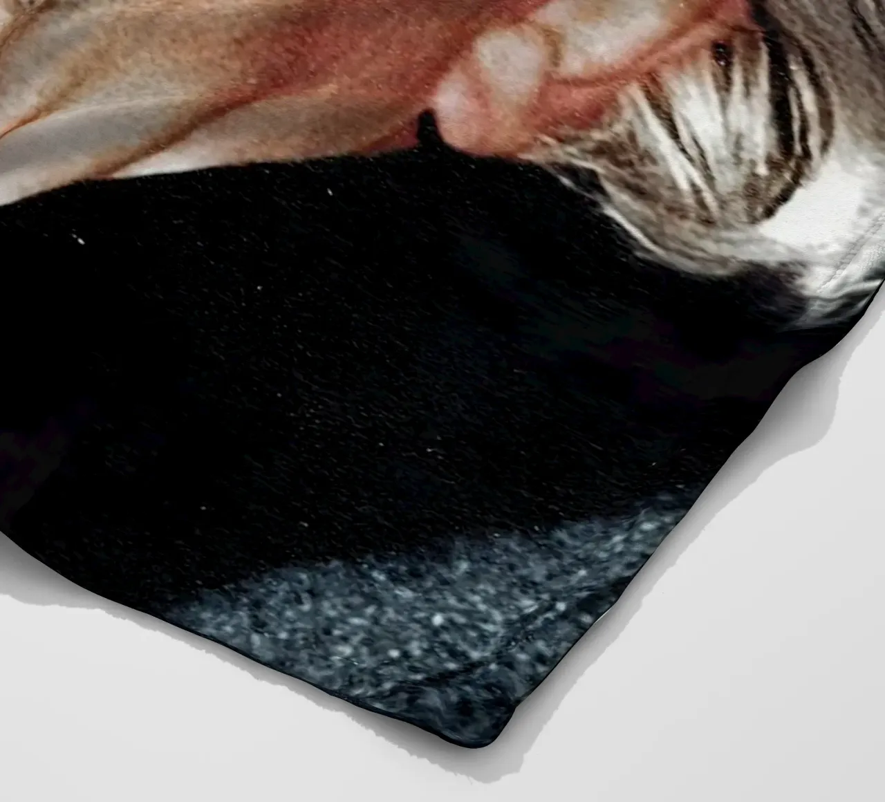 Albert Einstein coperta in pile da Low poly art