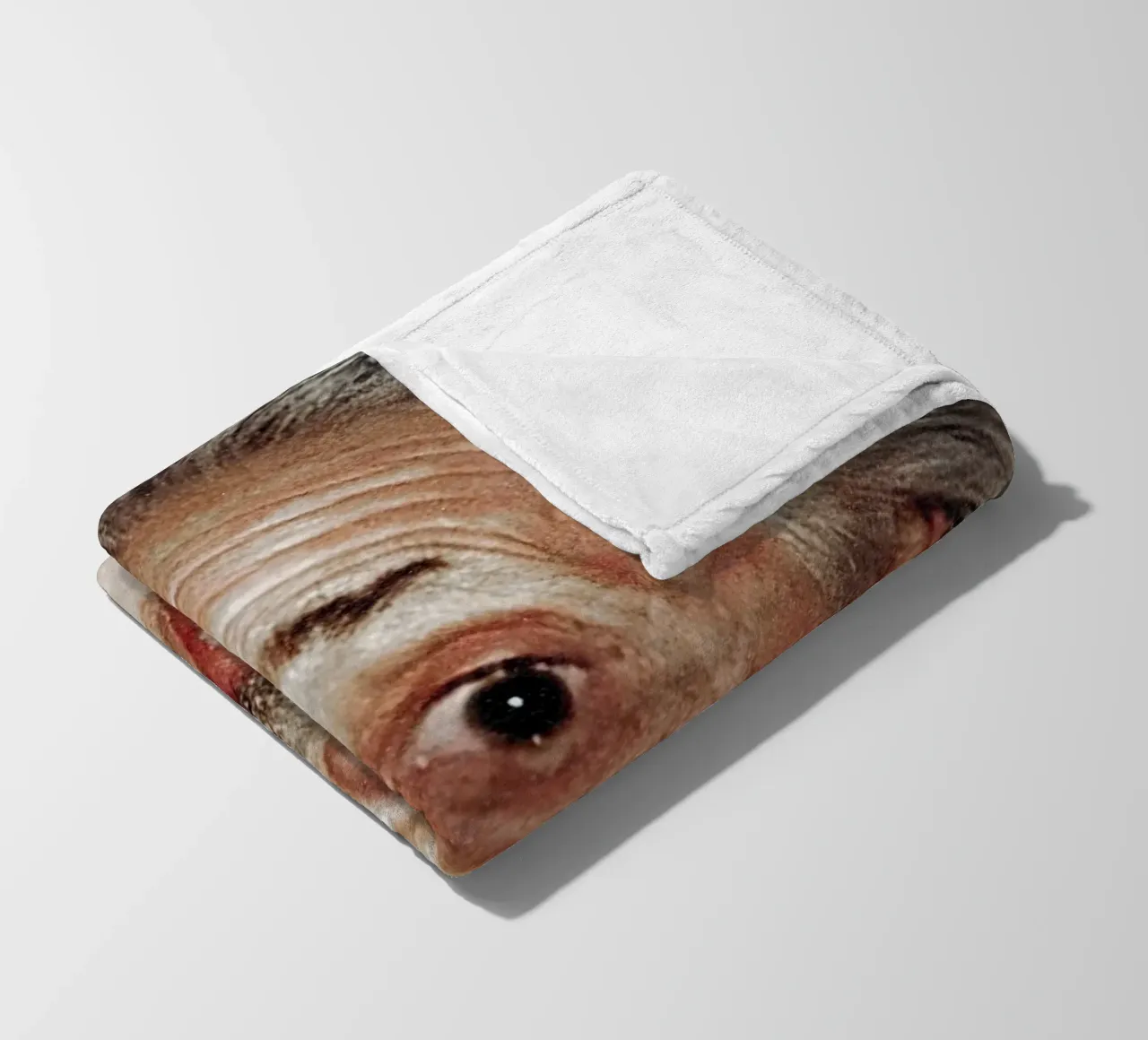 Albert Einstein coperta in pile da Low poly art