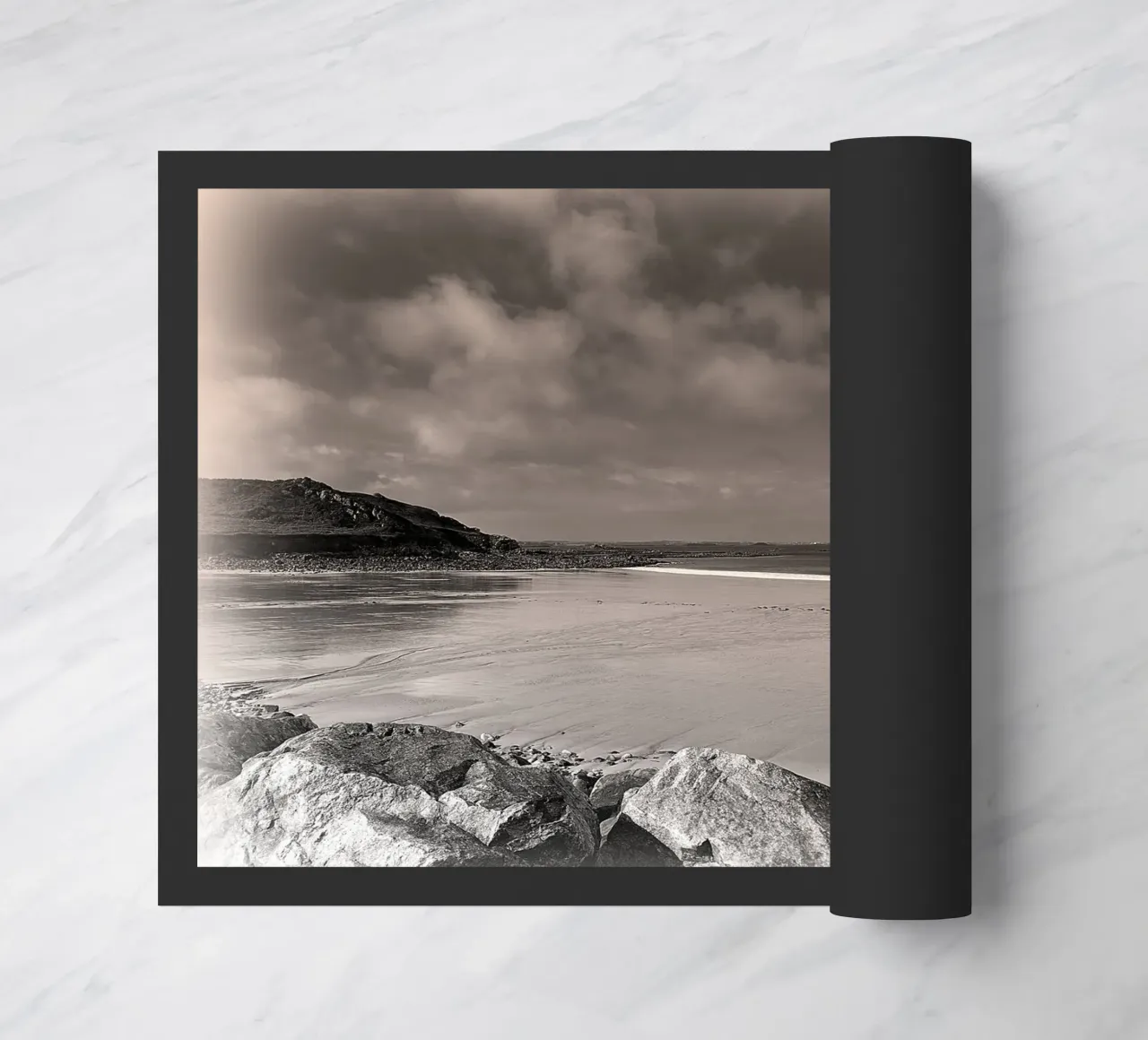 BW68 zerbino da Thierry vobmann photography