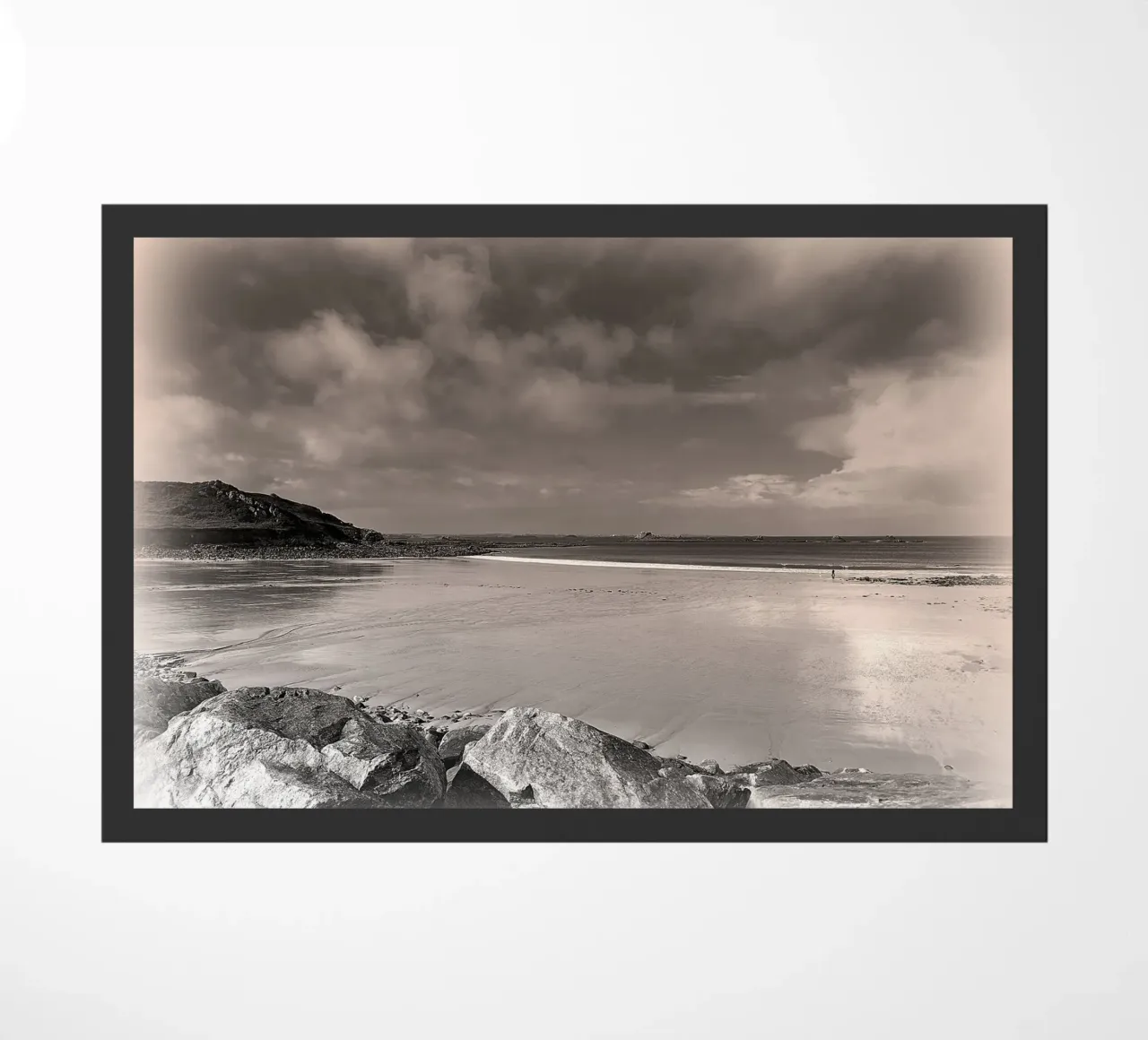 BW68 zerbino da Thierry vobmann photography