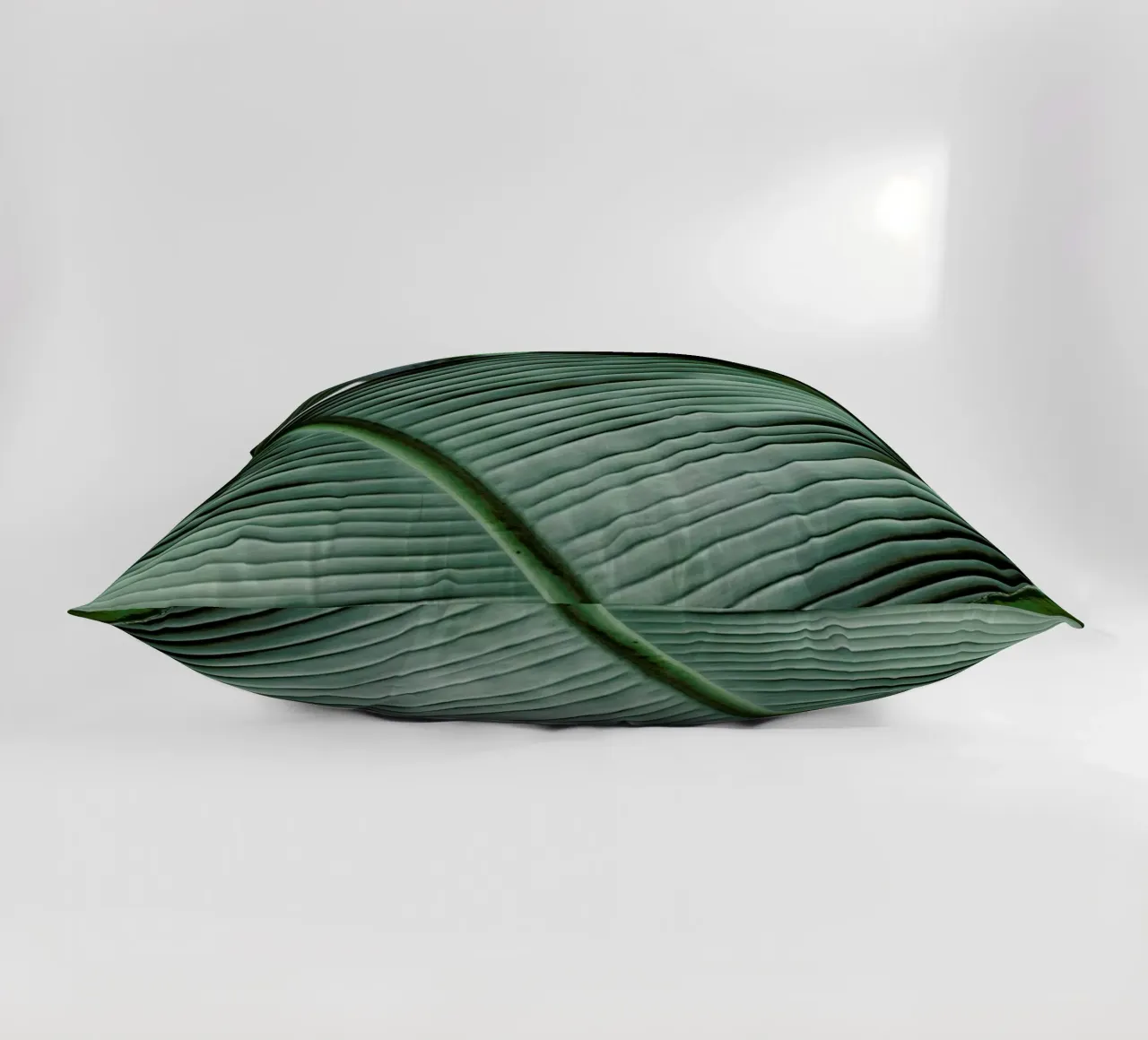 Natal decorative cushion by Shot By Clint
