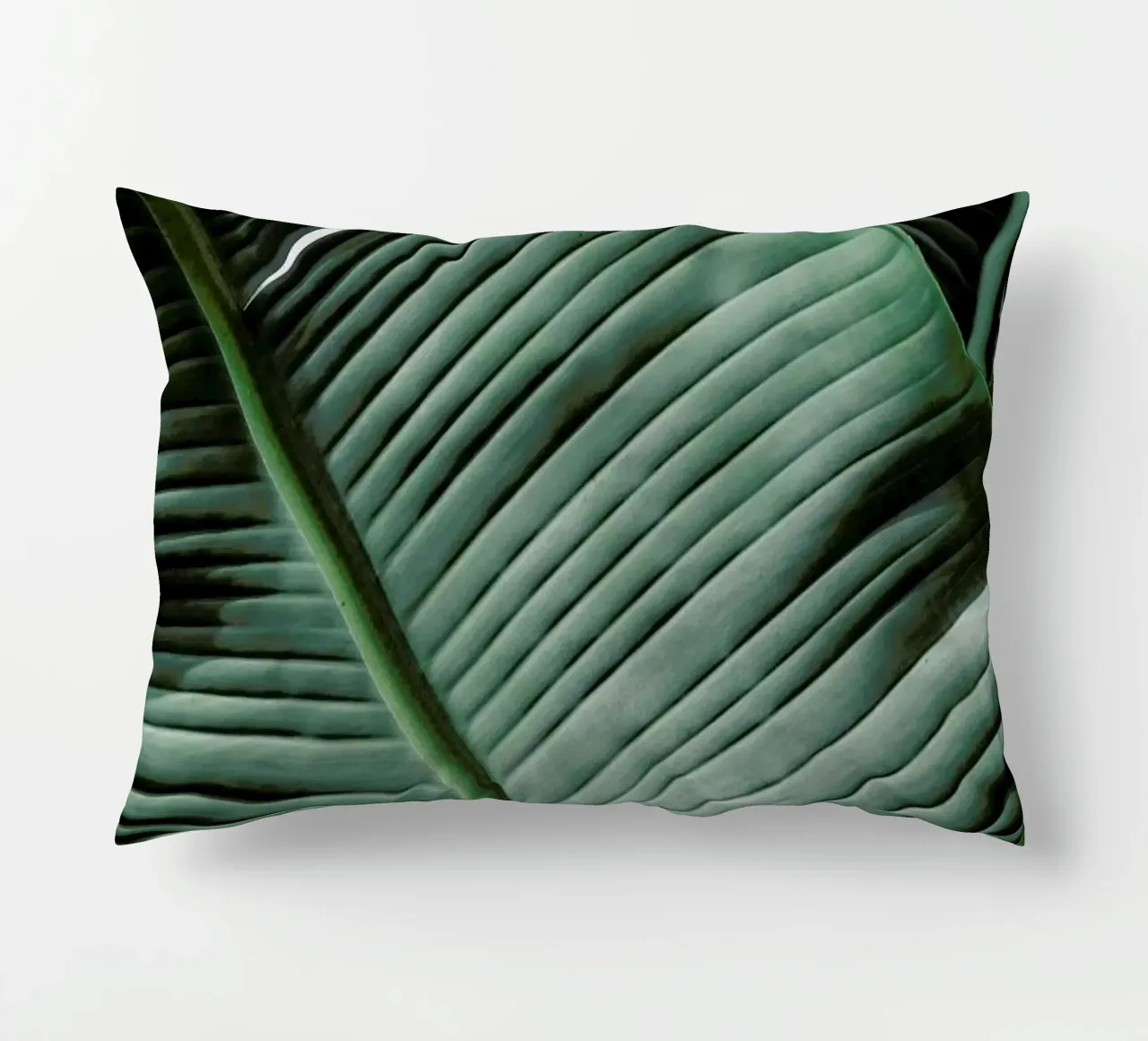 Natal decorative cushion by Shot By Clint