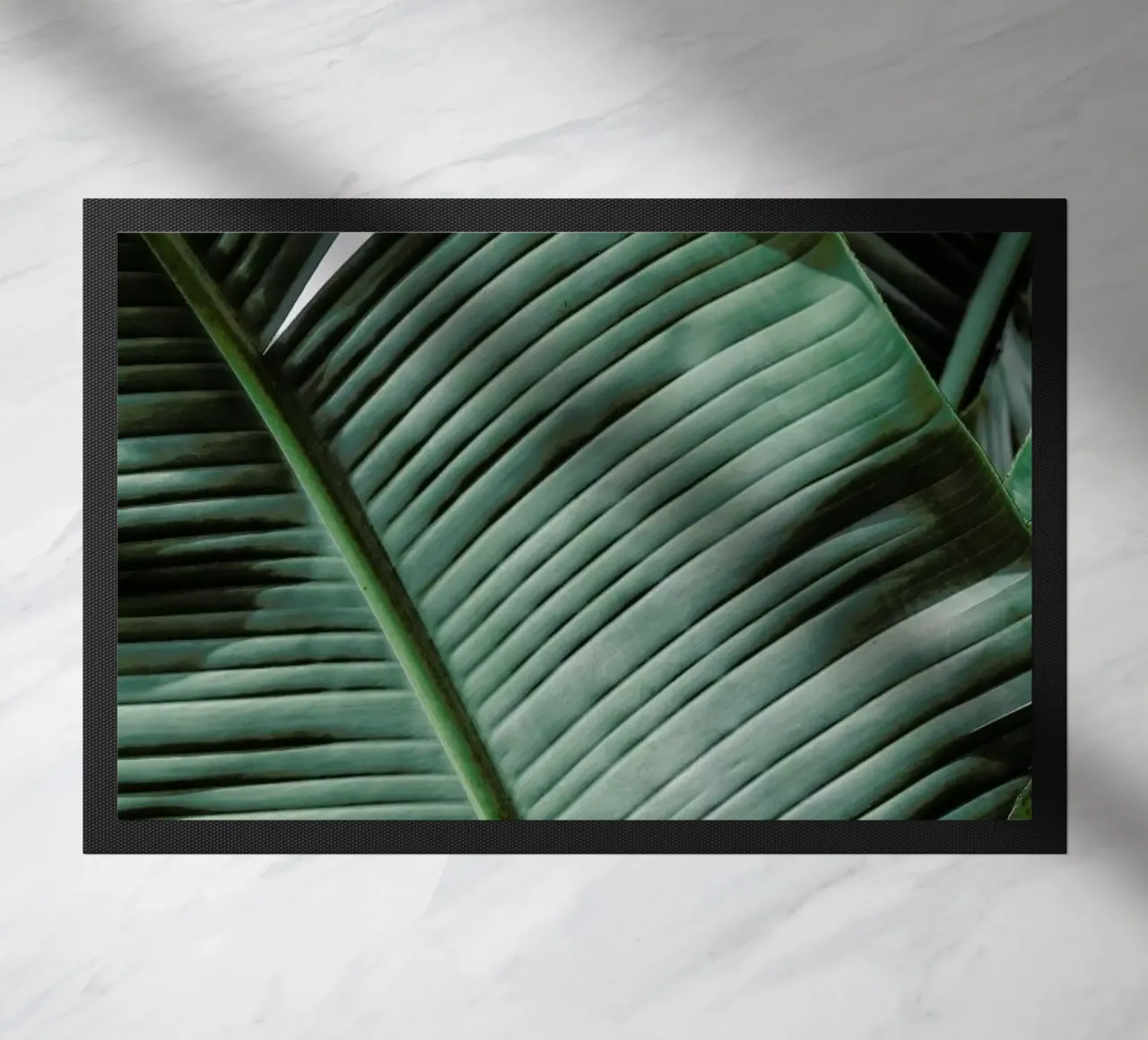 Natal zerbino da Shot By Clint