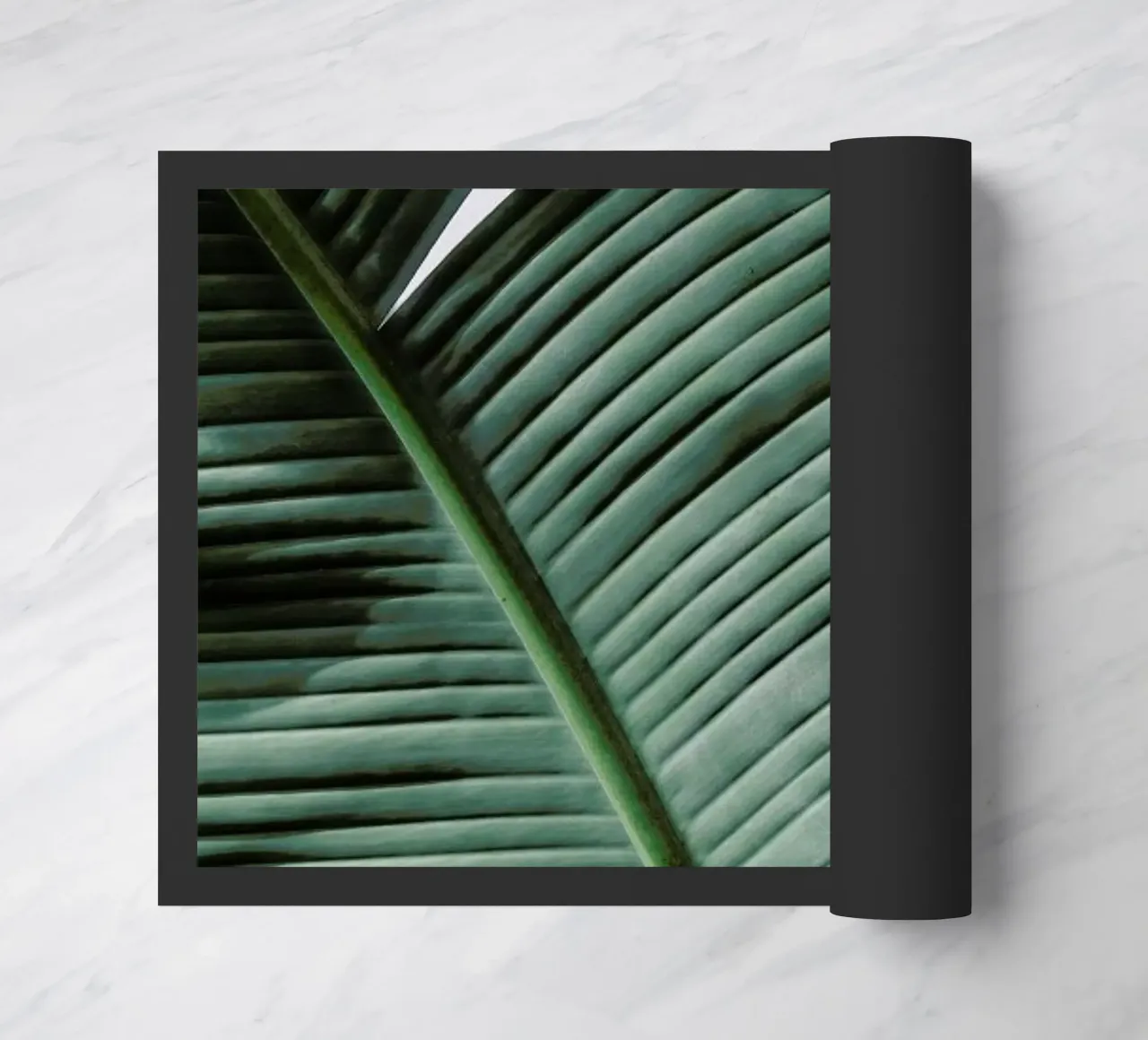 Natal zerbino da Shot By Clint