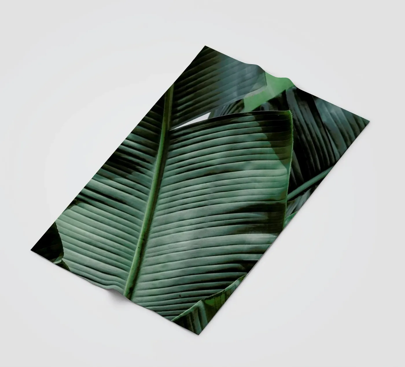 Natal plaid polaire de Shot By Clint