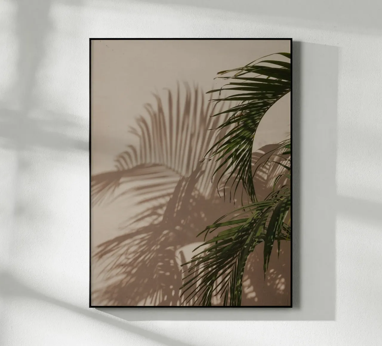 Minimalistic shadow of a palm leaf Acryl-Glas von Kimberley Jekel Photography