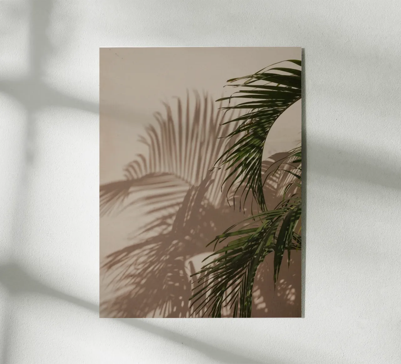Minimalistic shadow of a palm leaf plexiglass da Kimberley Jekel Photography