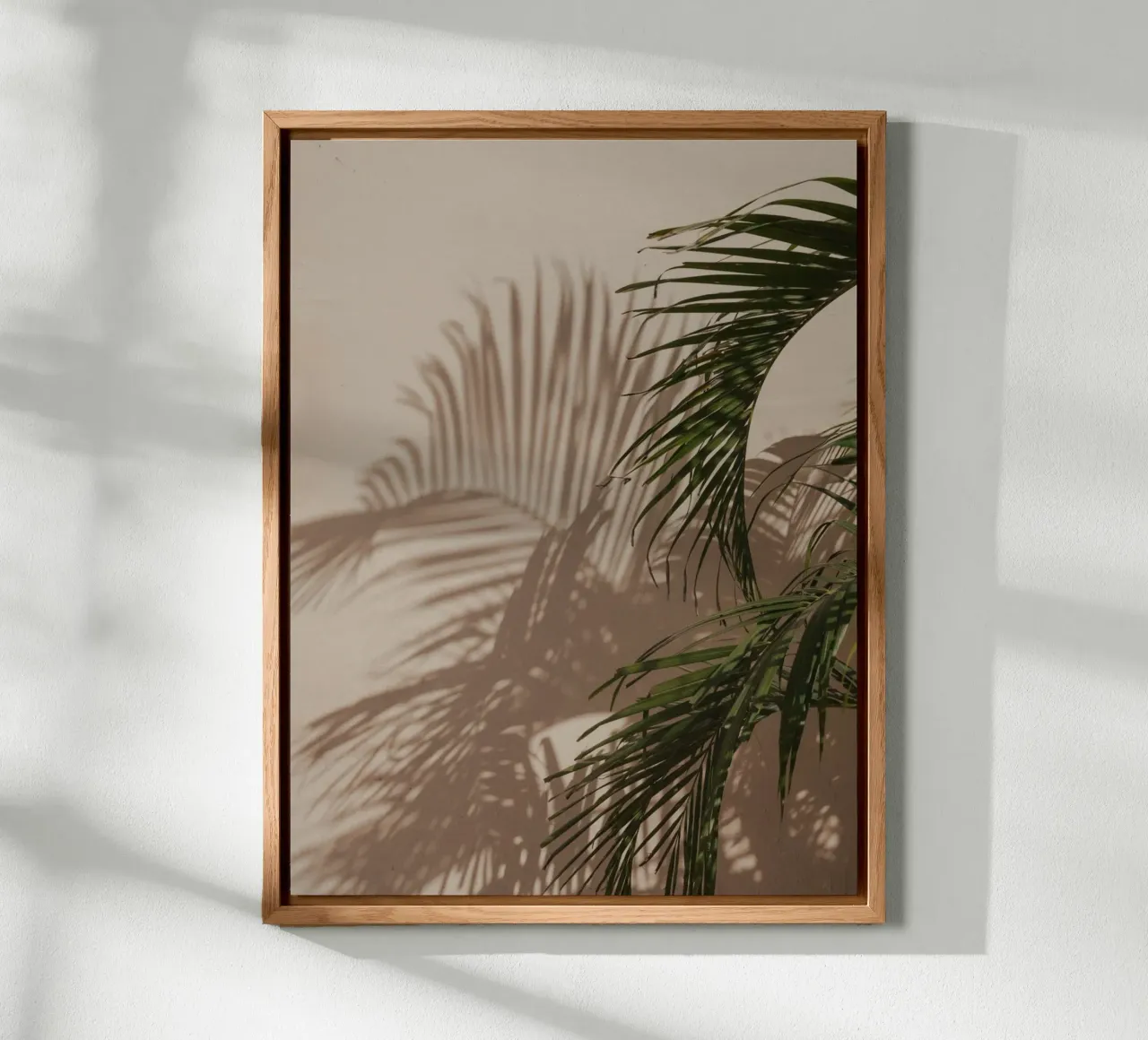 Minimalistic shadow of a palm leaf alluminio dibond da Kimberley Jekel Photography