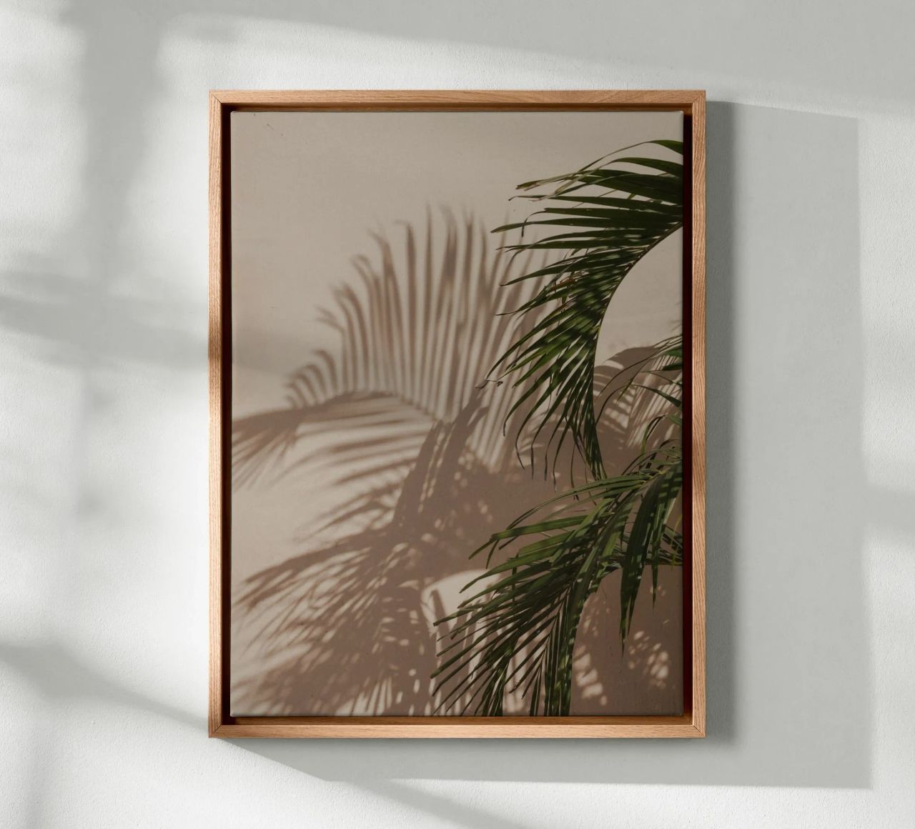 Minimalistic shadow of a palm leaf tela da Kimberley Jekel Photography