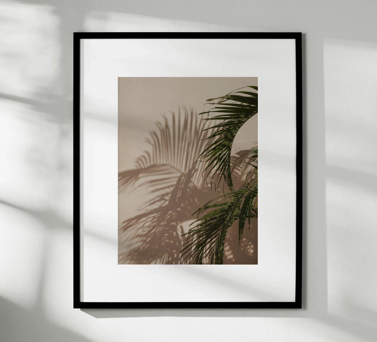Minimalistic shadow of a palm leaf poster by Kimberley Jekel Photography