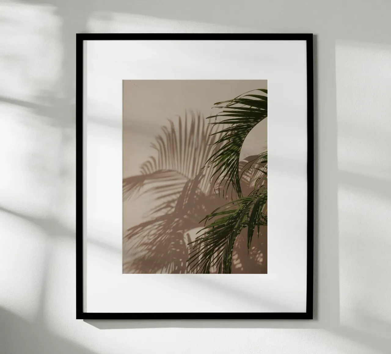 Minimalistic shadow of a palm leaf carta hahnemühle da Kimberley Jekel Photography