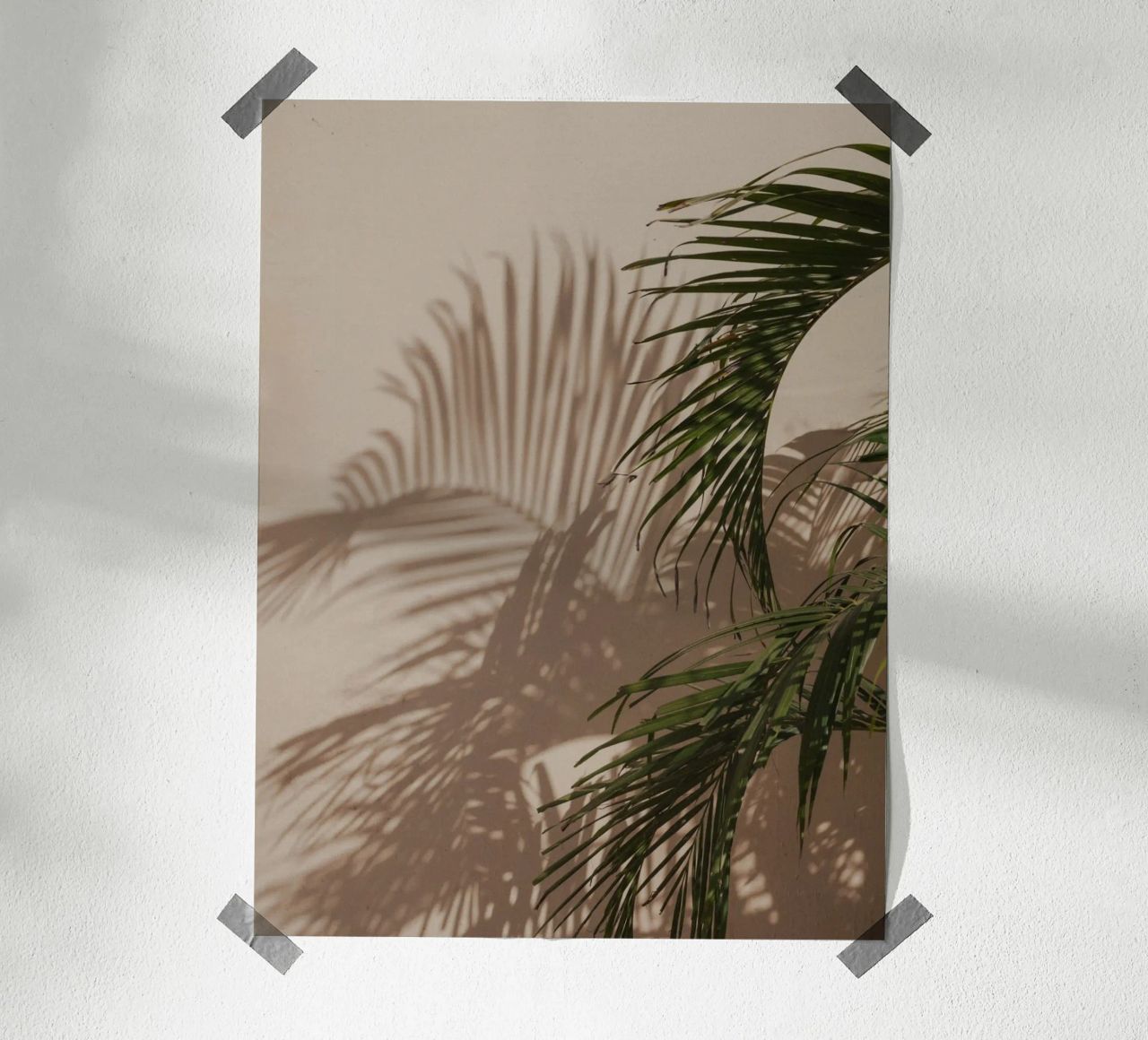 Minimalistic shadow of a palm leaf poster by Kimberley Jekel Photography