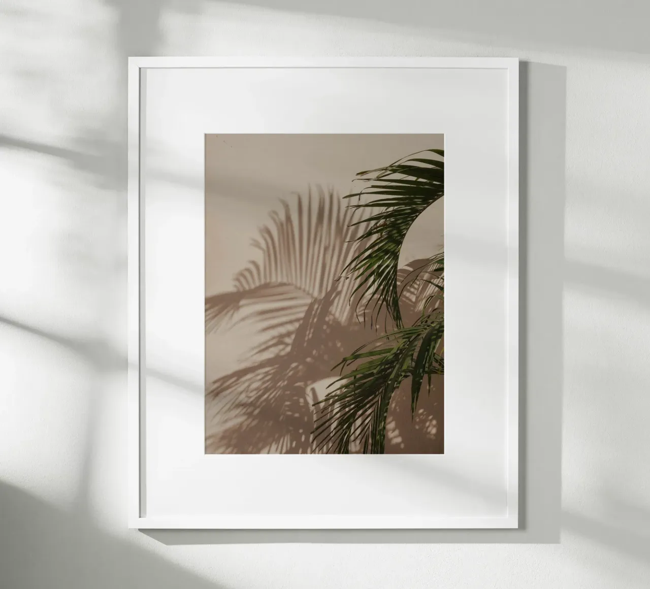 Minimalistic shadow of a palm leaf carta hahnemühle da Kimberley Jekel Photography