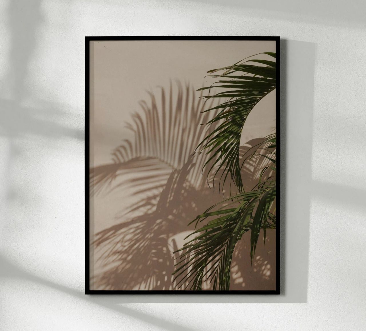 Minimalistic shadow of a palm leaf poster by Kimberley Jekel Photography