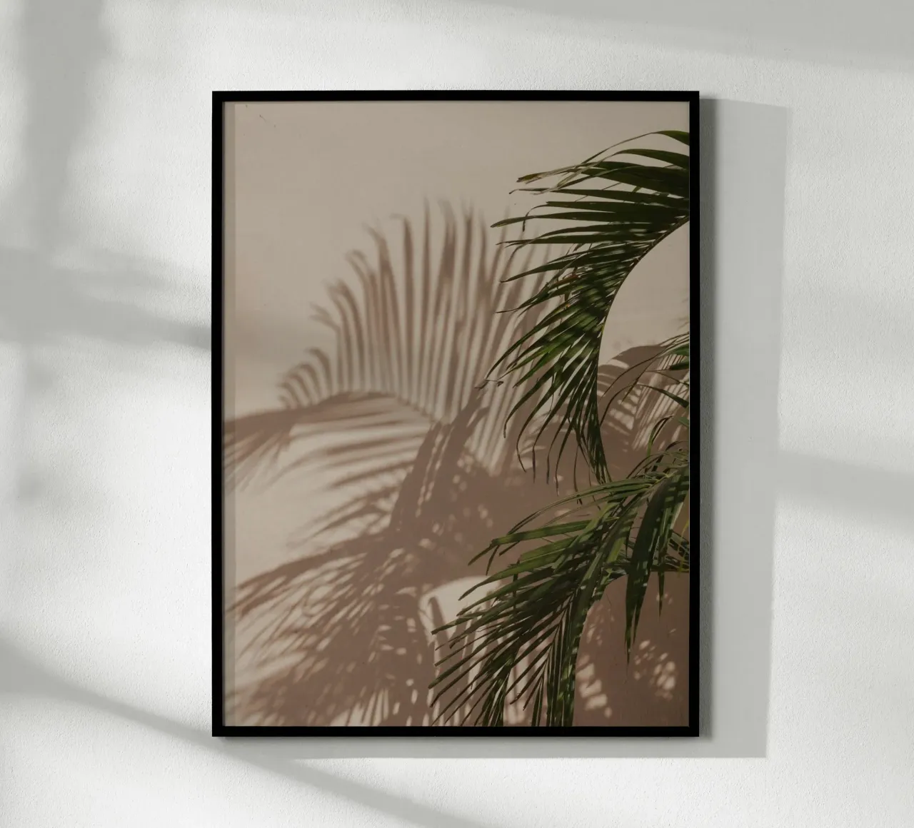 Minimalistic shadow of a palm leaf carta hahnemühle da Kimberley Jekel Photography