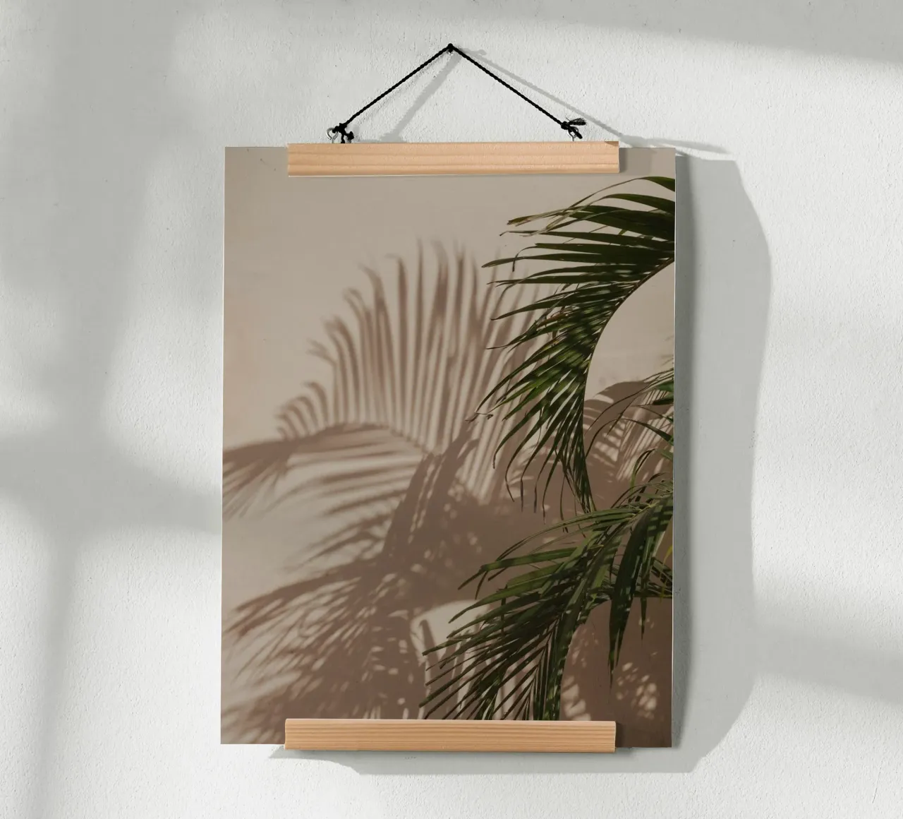 Minimalistic shadow of a palm leaf carta hahnemühle da Kimberley Jekel Photography