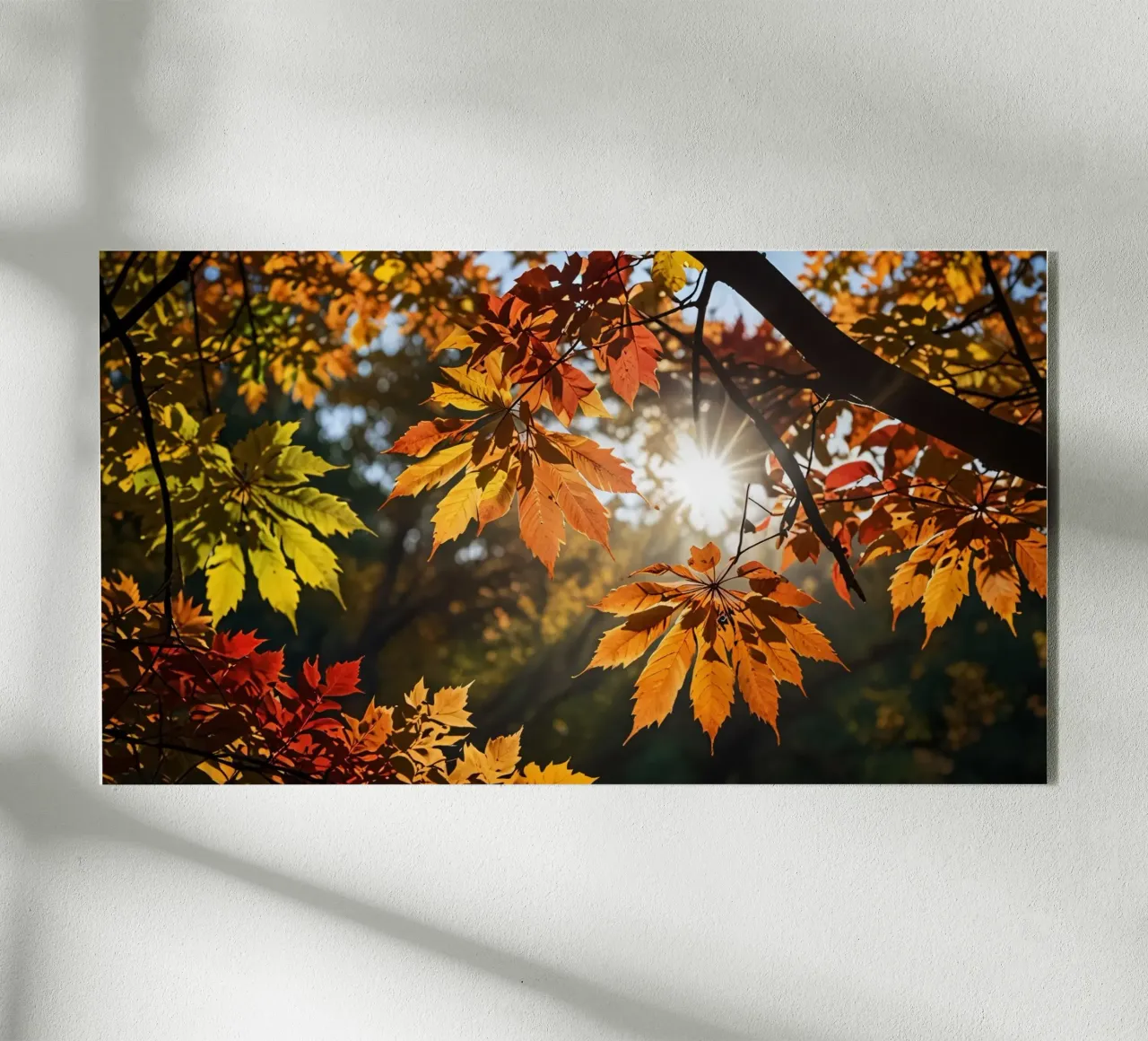 Autumn leaves in vibrant colors illuminated by sunlight acrylic glass by DesignDoodle