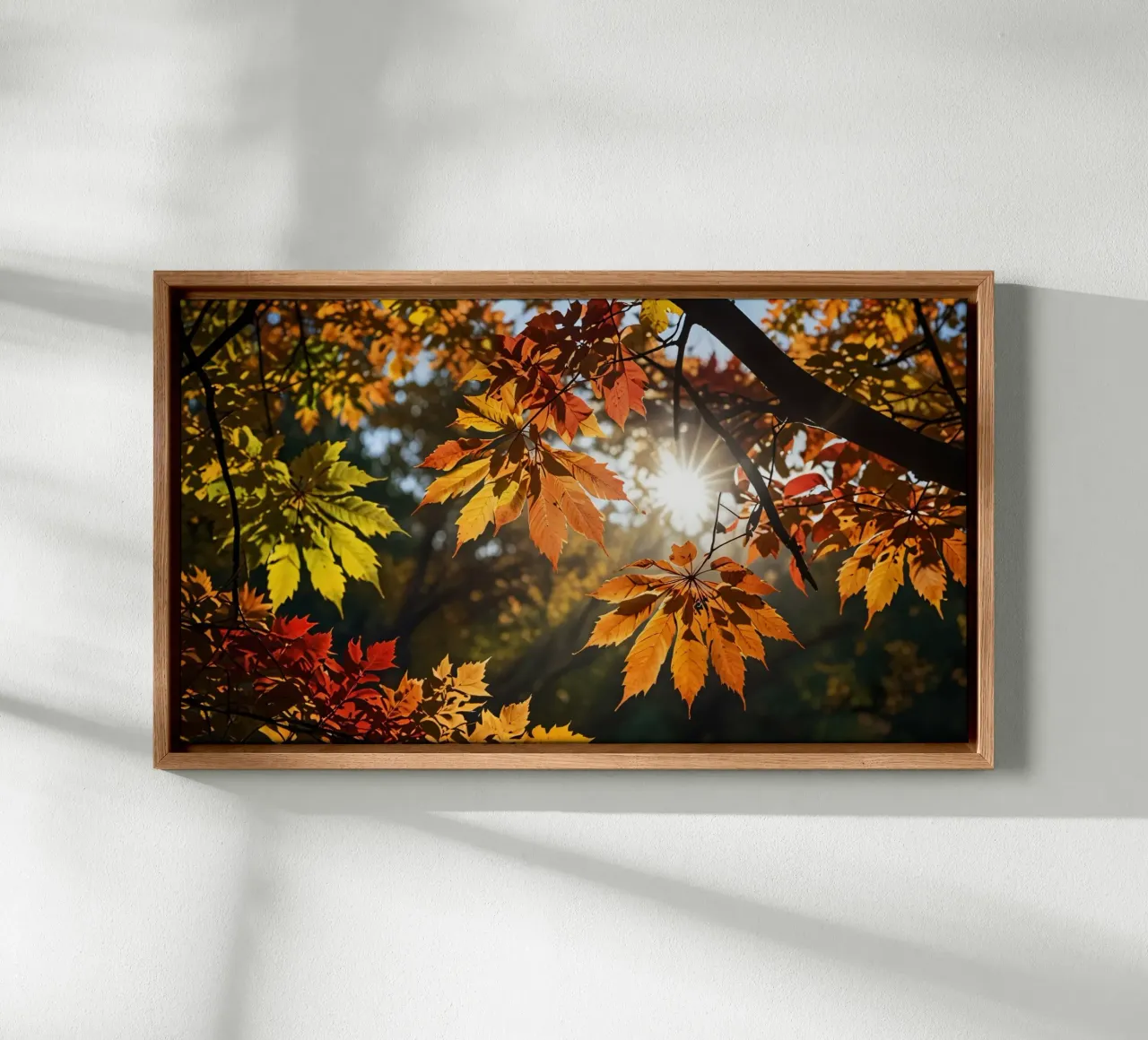 Foglie d'autunno dai colori vivaci illuminate dalla luce del sole tela con Cornice a cassetta da DesignDoodle