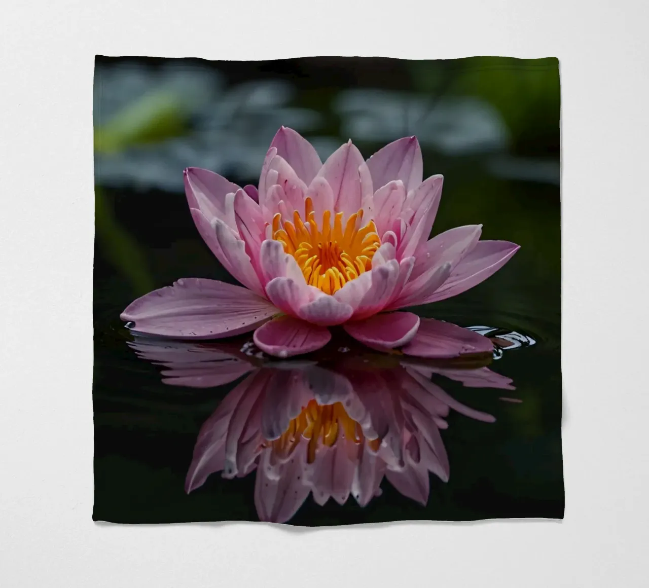 Una colorata ninfea rosa fiorisce con grazia coperta in pile da DesignDoodle