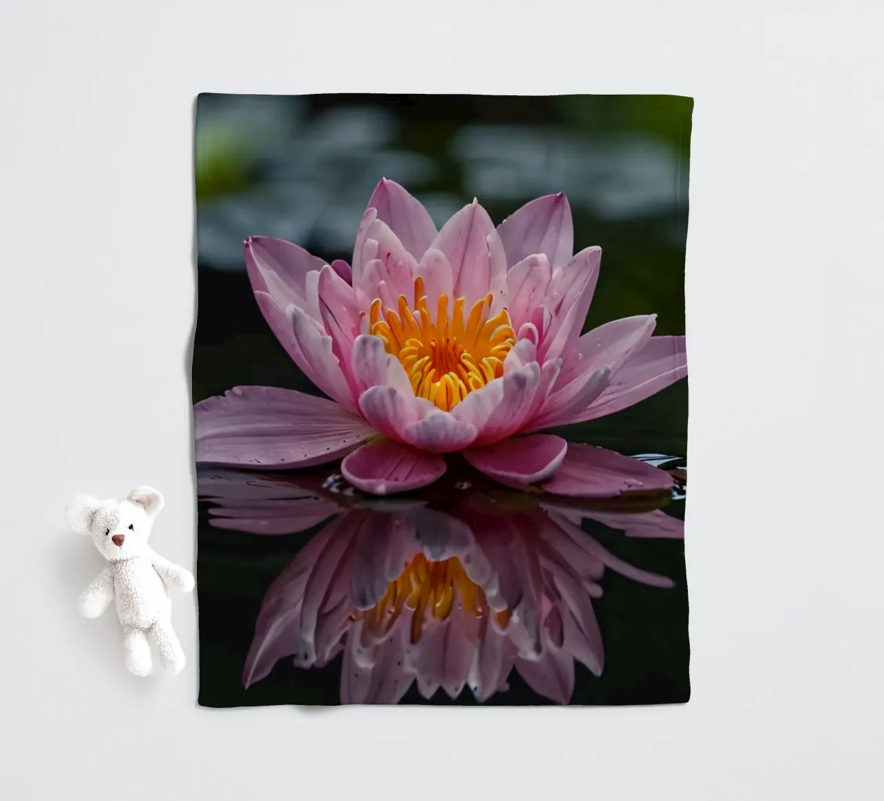 Una colorata ninfea rosa fiorisce con grazia coperta in pile da DesignDoodle