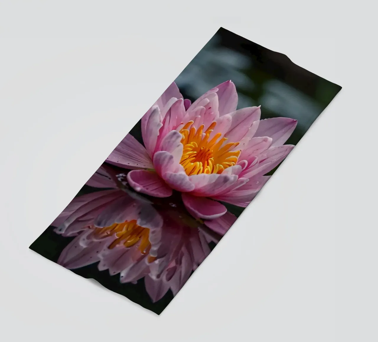 Una colorata ninfea rosa fiorisce con grazia telo mare da DesignDoodle