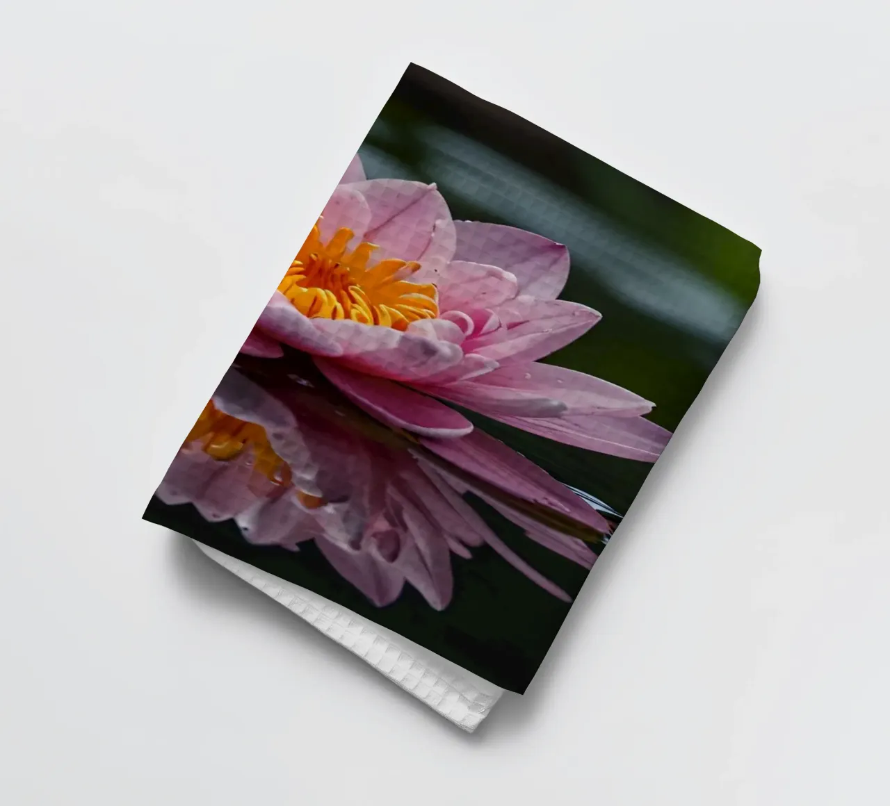 Una colorata ninfea rosa fiorisce con grazia canovaccio da cucina da DesignDoodle