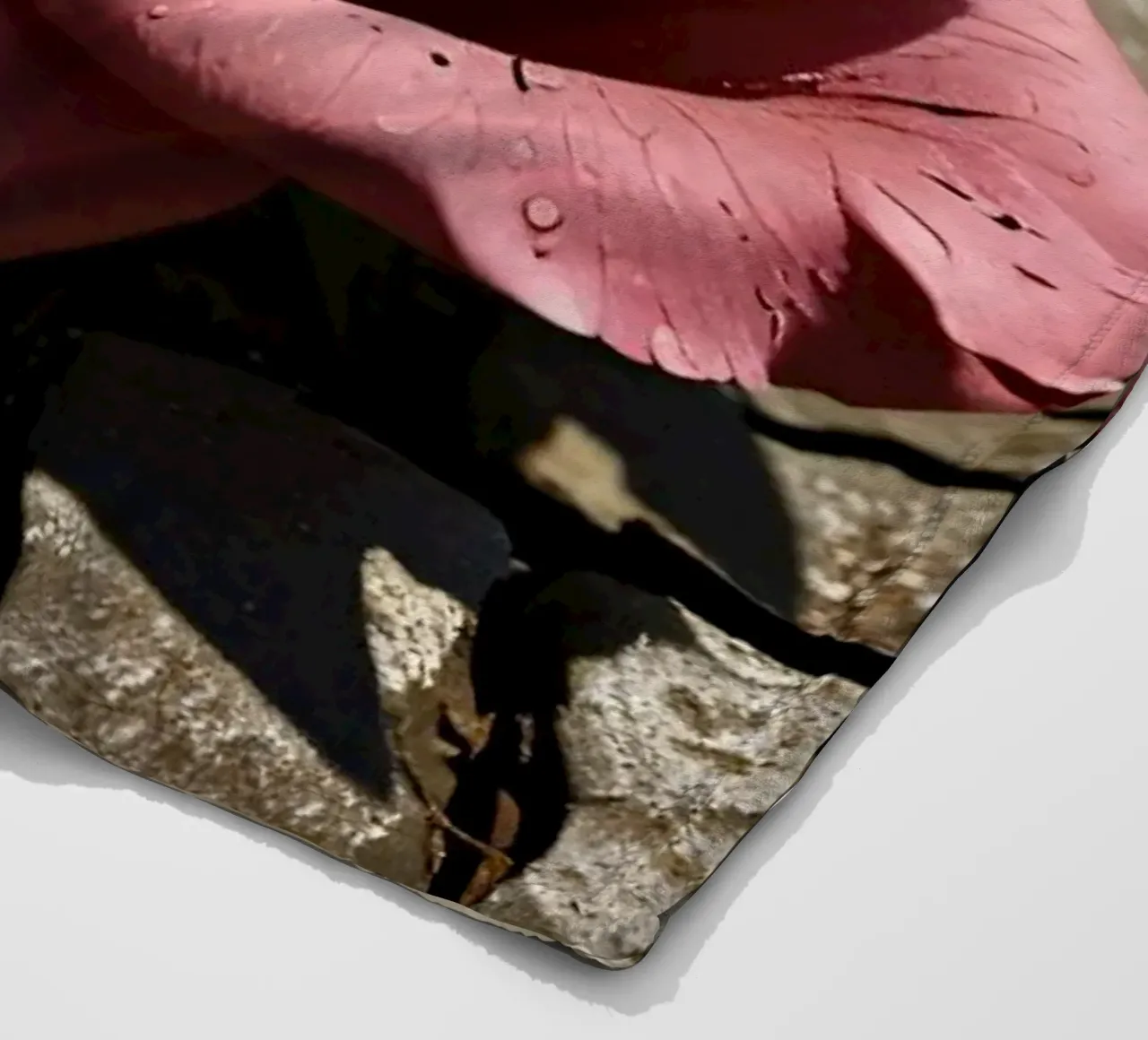 Rose ruht auf rissigem Pflaster Fleecedecke von DesignDoodle