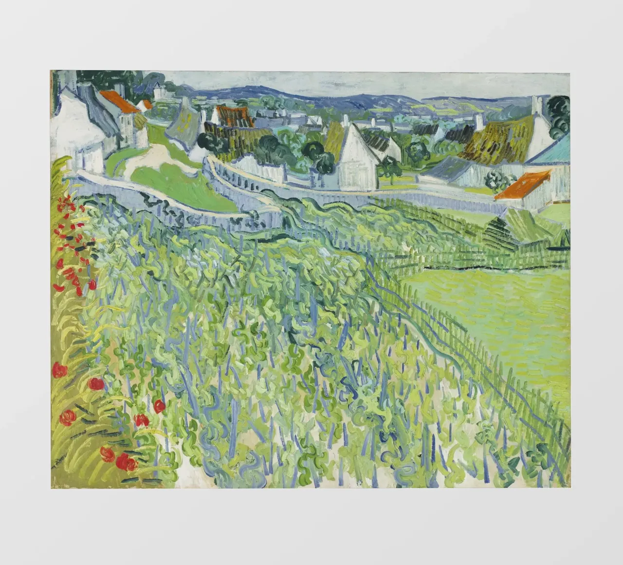Vincent van Gogh's Vineyards at Auvers (1890) photo wallpaper by Van Gogh Prints