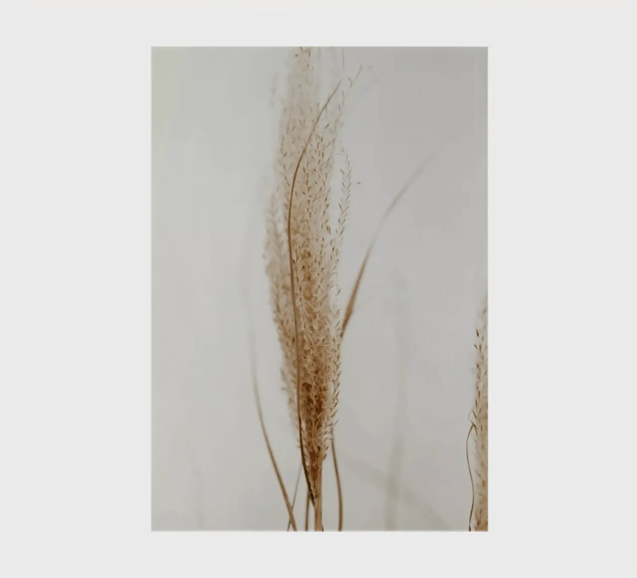 Decorative Fluff notebook by Sebastian Hilgetag
