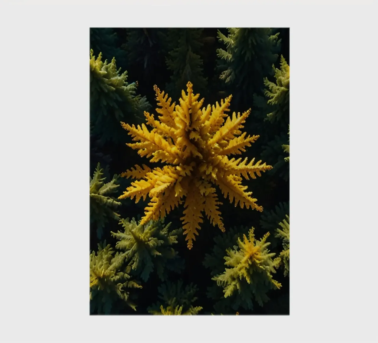 L'arbre jaune se distingue parmi les conifères verdoyants. carnet de notes de DesignDoodle