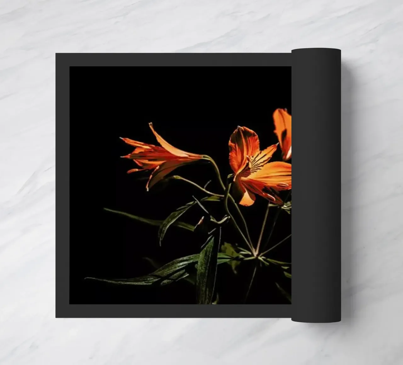 Inflorescence zerbino da EyeEm Mobile GmbH