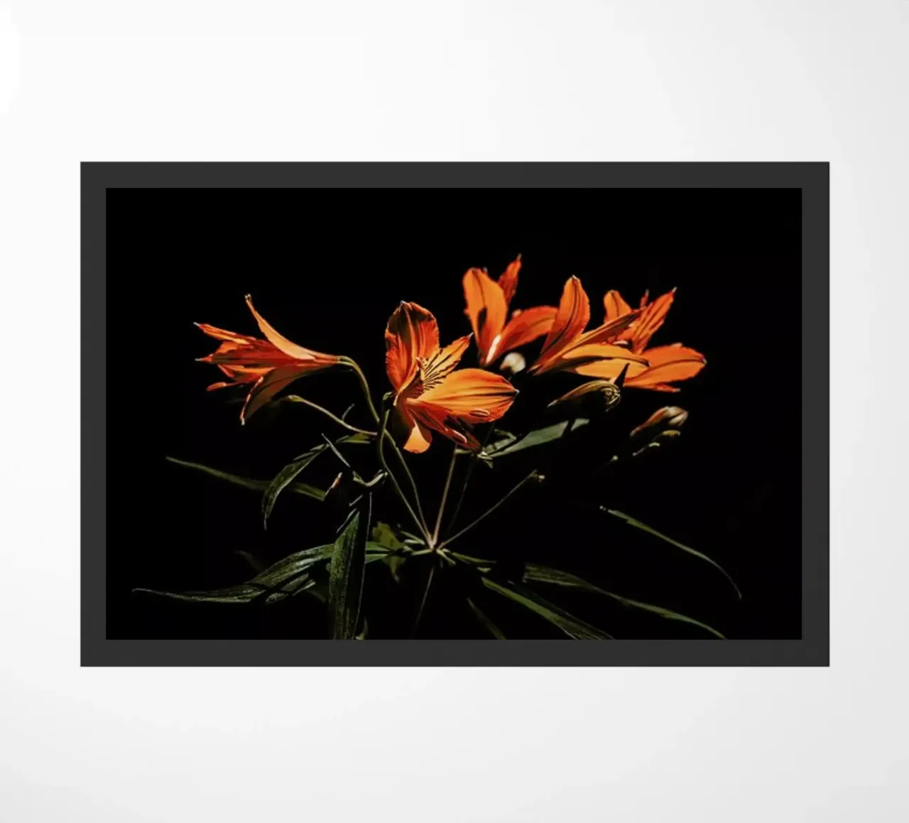 Inflorescence zerbino da EyeEm Mobile GmbH